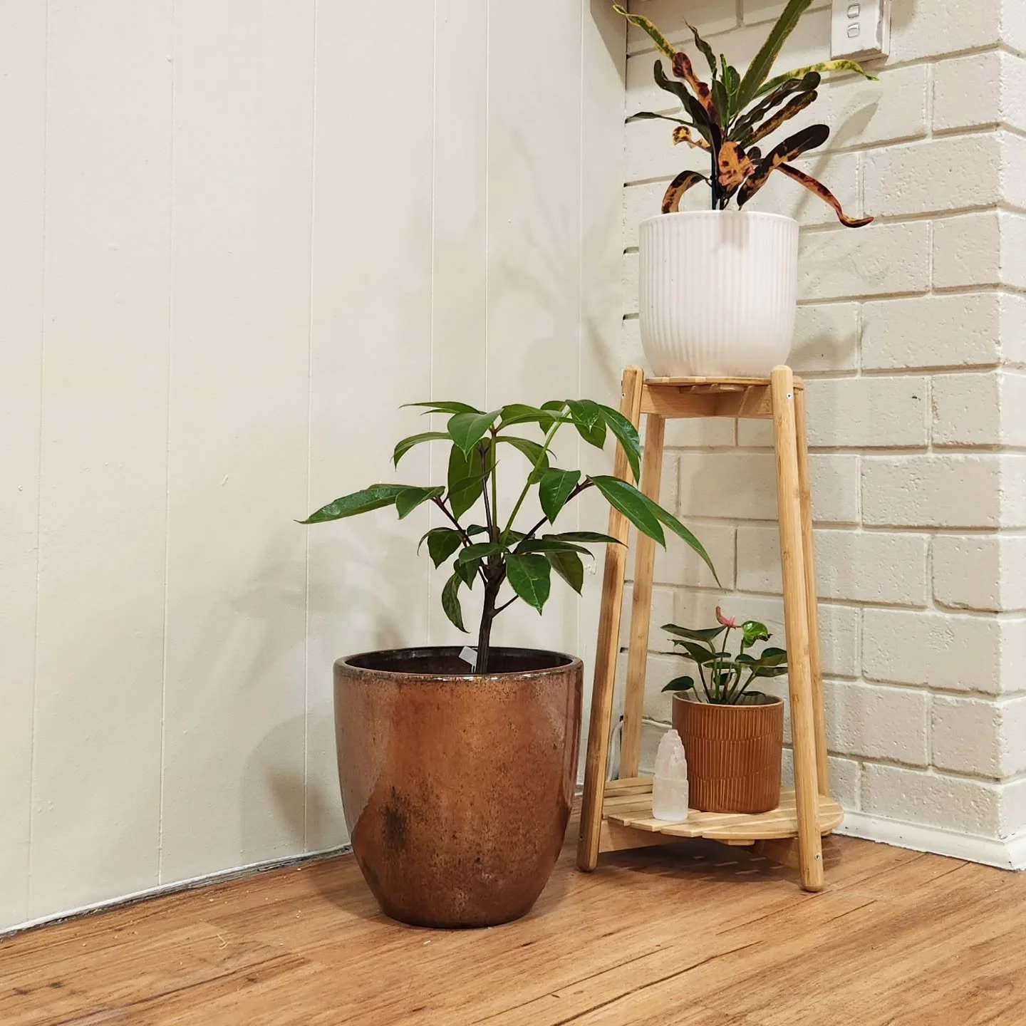 Wondering which class style is right for you?
Here's a comparison of our three types of Hatha classes;

Hatha Flow
A steady rhythm linking postures with the breath. Not fast, but fluid. You&rsquo;ll move smoothly from pose to pose, building strength,