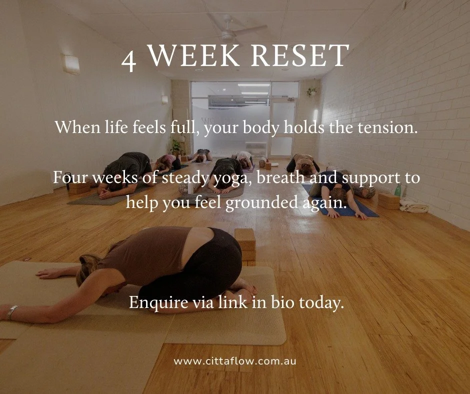 #hatha #yoga #kalamunda #kala 

www.cittaflow.com.au/bio
