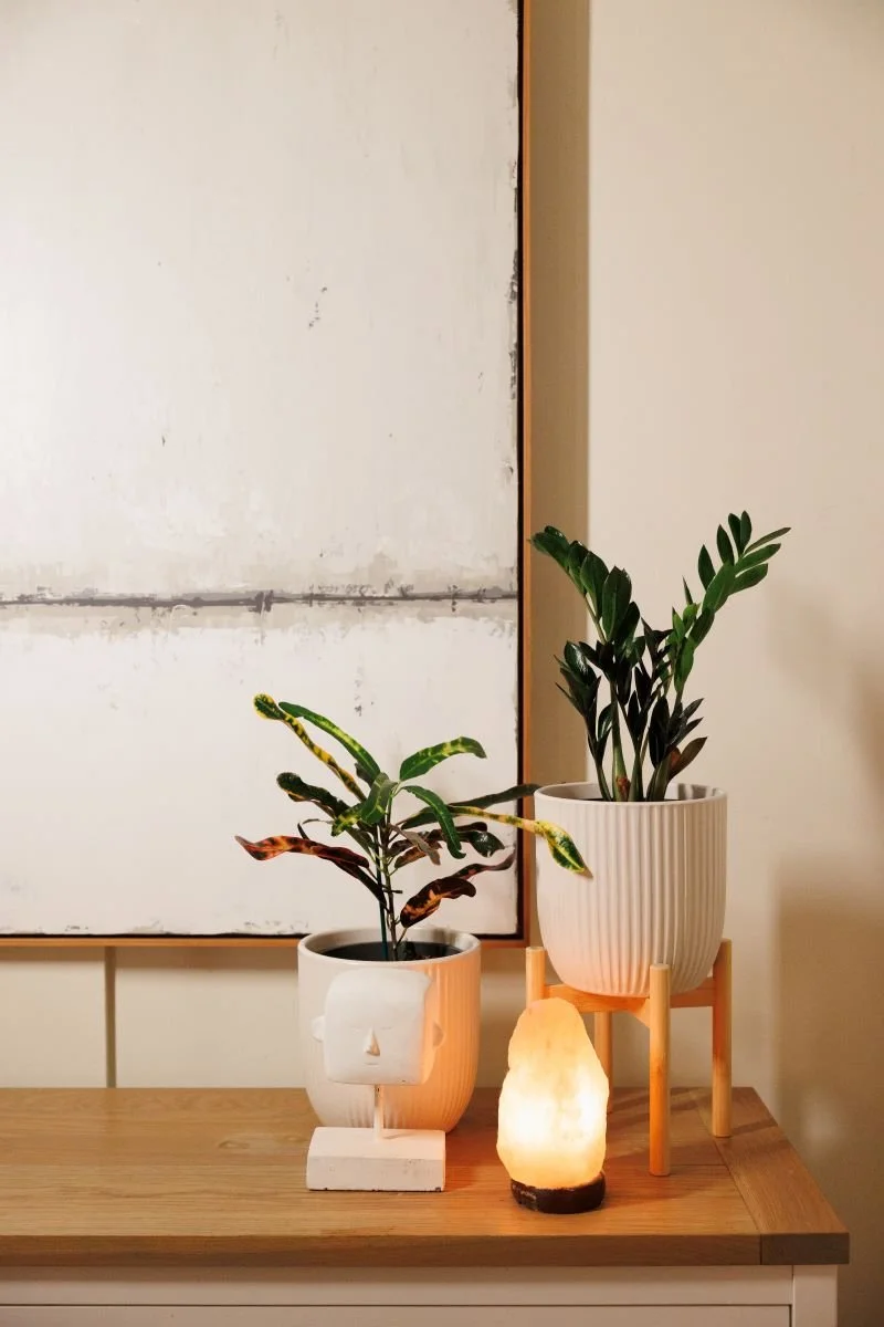 Two potted plants with decorative items on a wooden table, illuminated salt lamp, and abstract artwork in the background.
