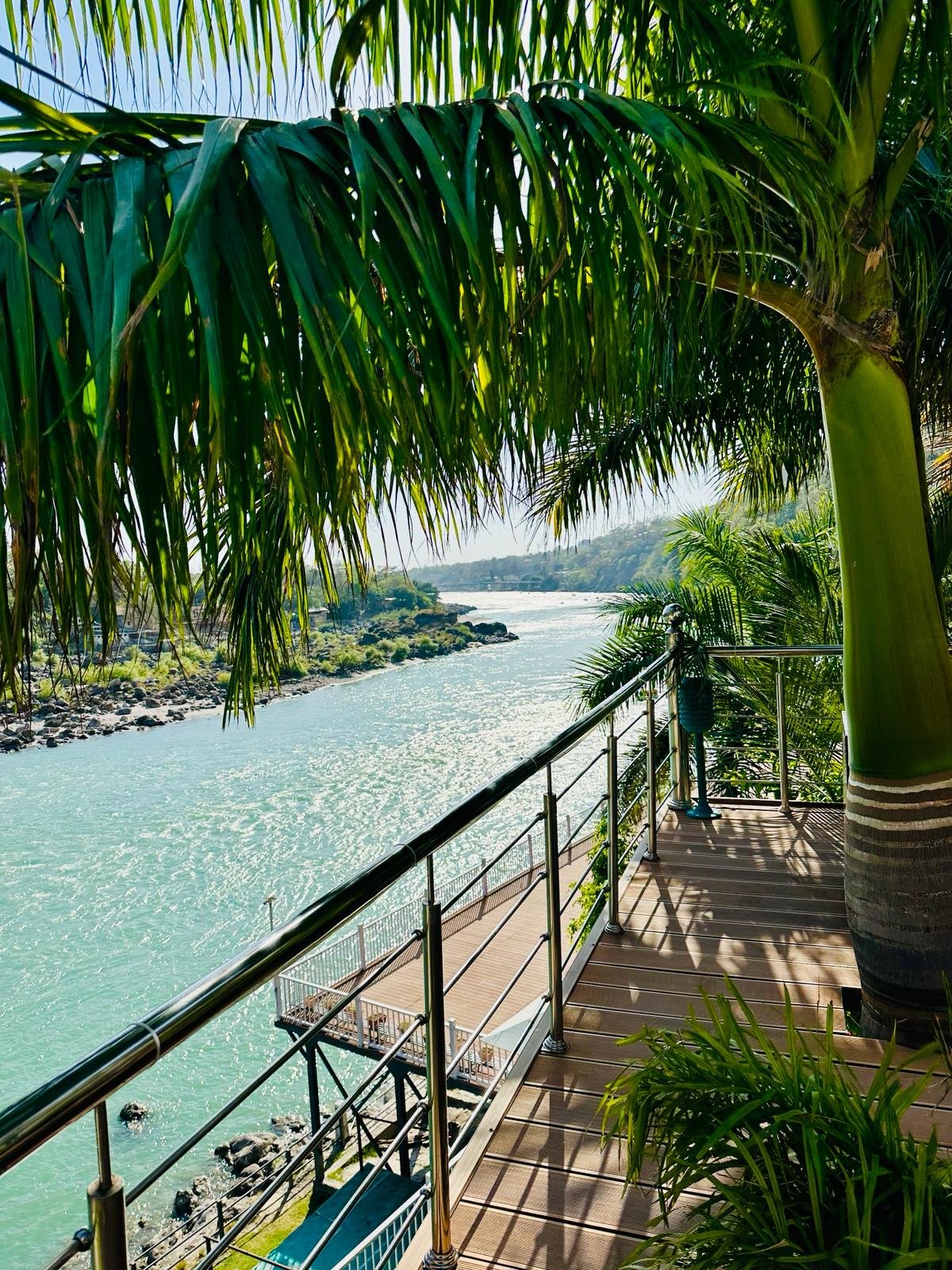 View from a balcony overlooking a river with trees on both sides, surrounded by lush green palm trees and tropical plants.