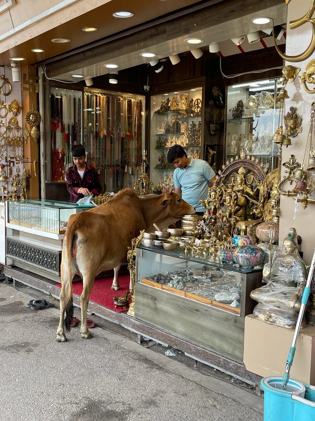 A street view of a shop selling spiritual and decorative items, with a cow standing in front of the shop across the sidewalk. Inside, two men are browsing, and the shop displays various statues, jewelry, and artifacts.