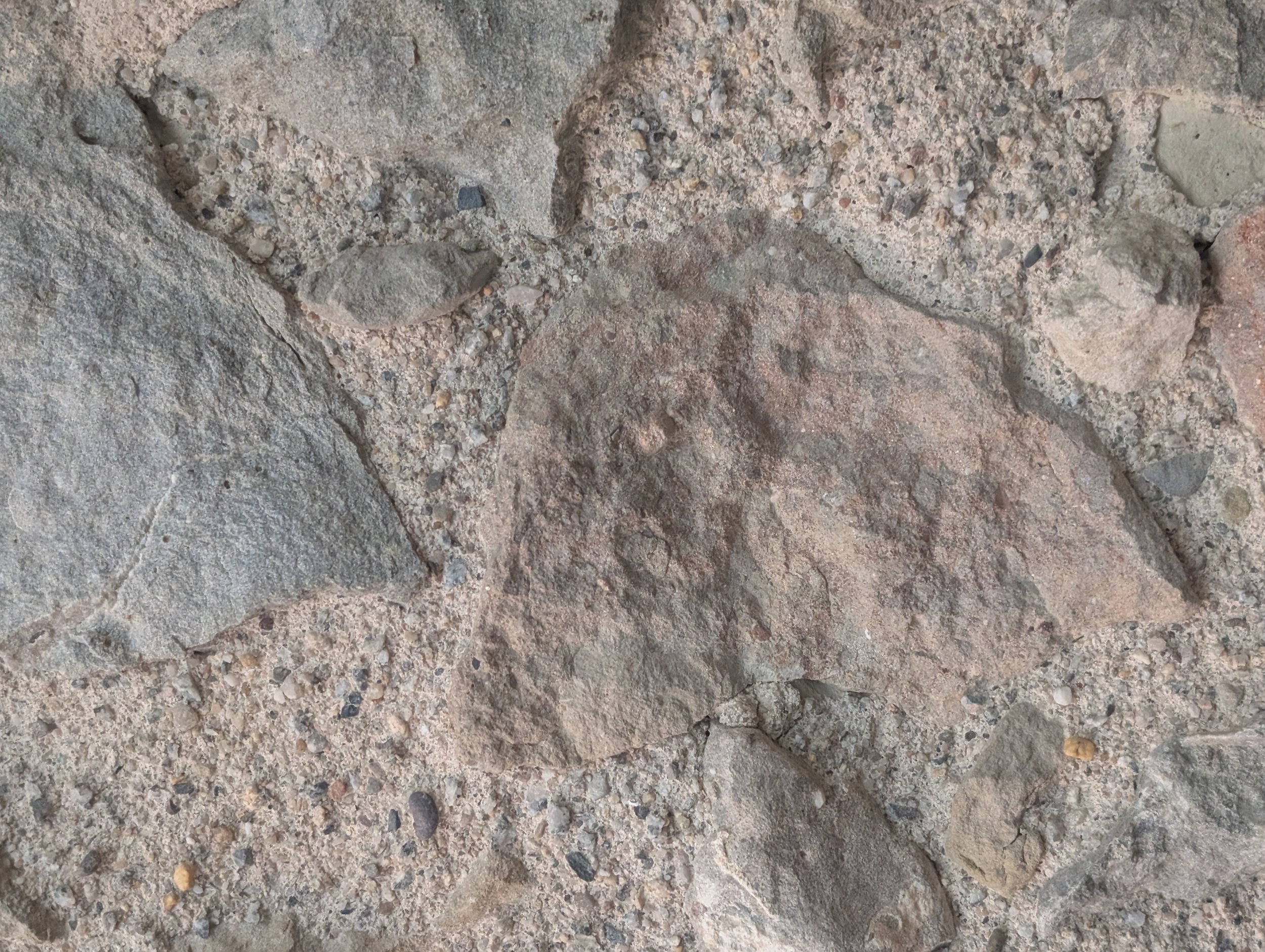 PXL_20250628_083646329.jpg