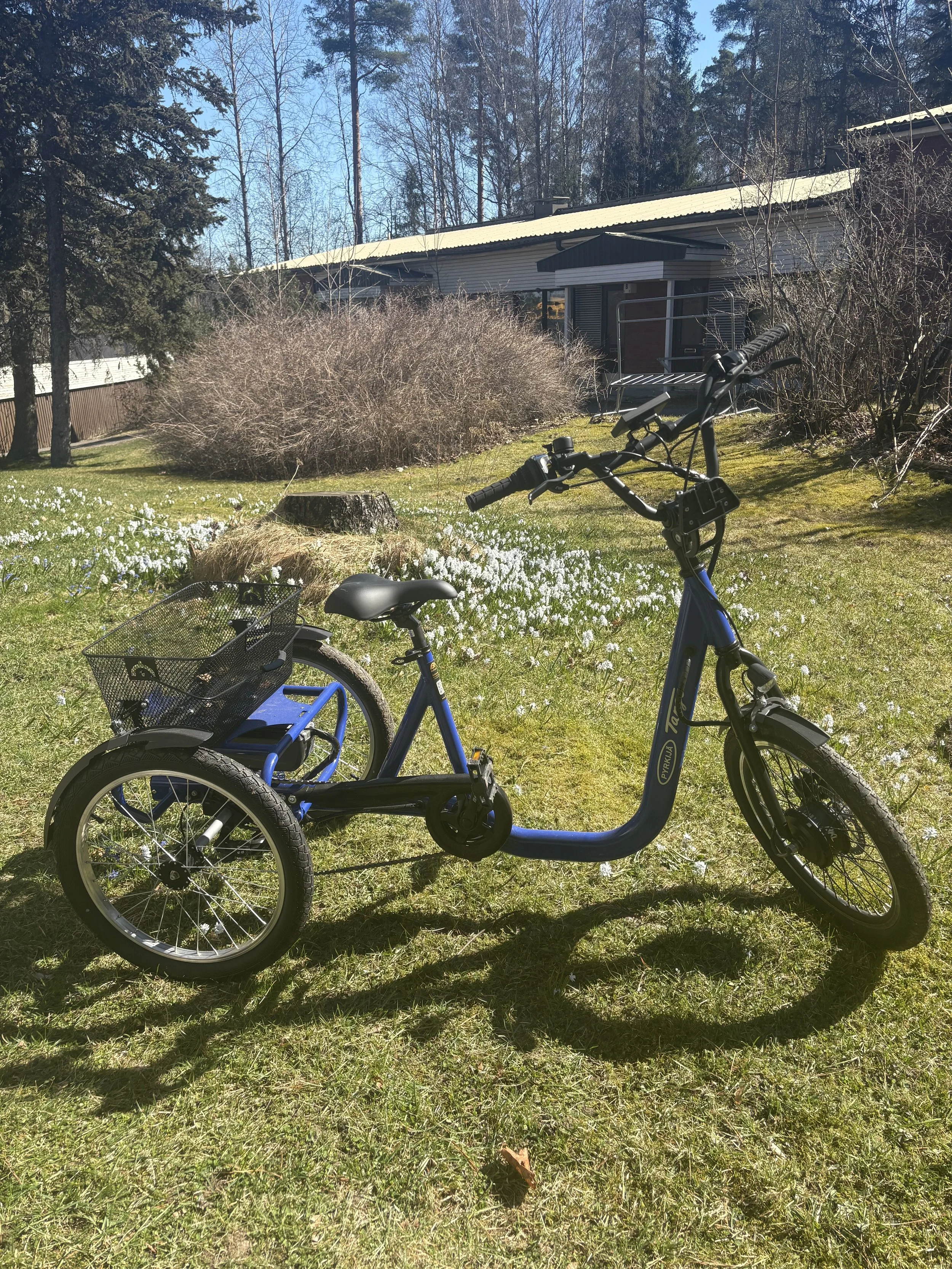 Pyrkijä Tango - sähköpyörä