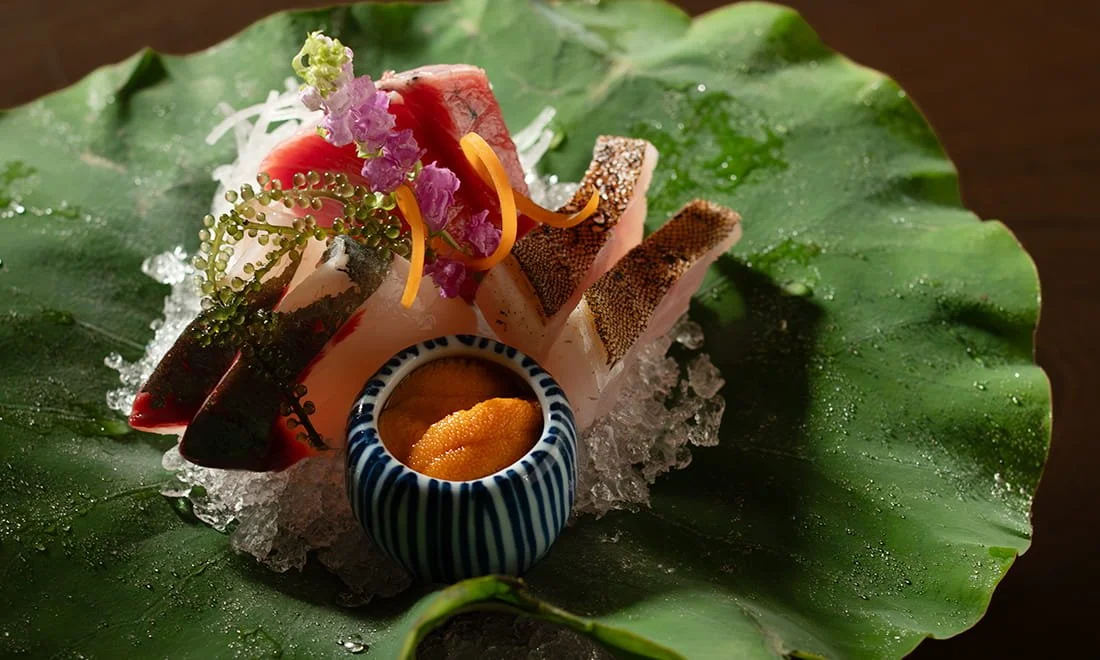 Sashimi : Dinner Course