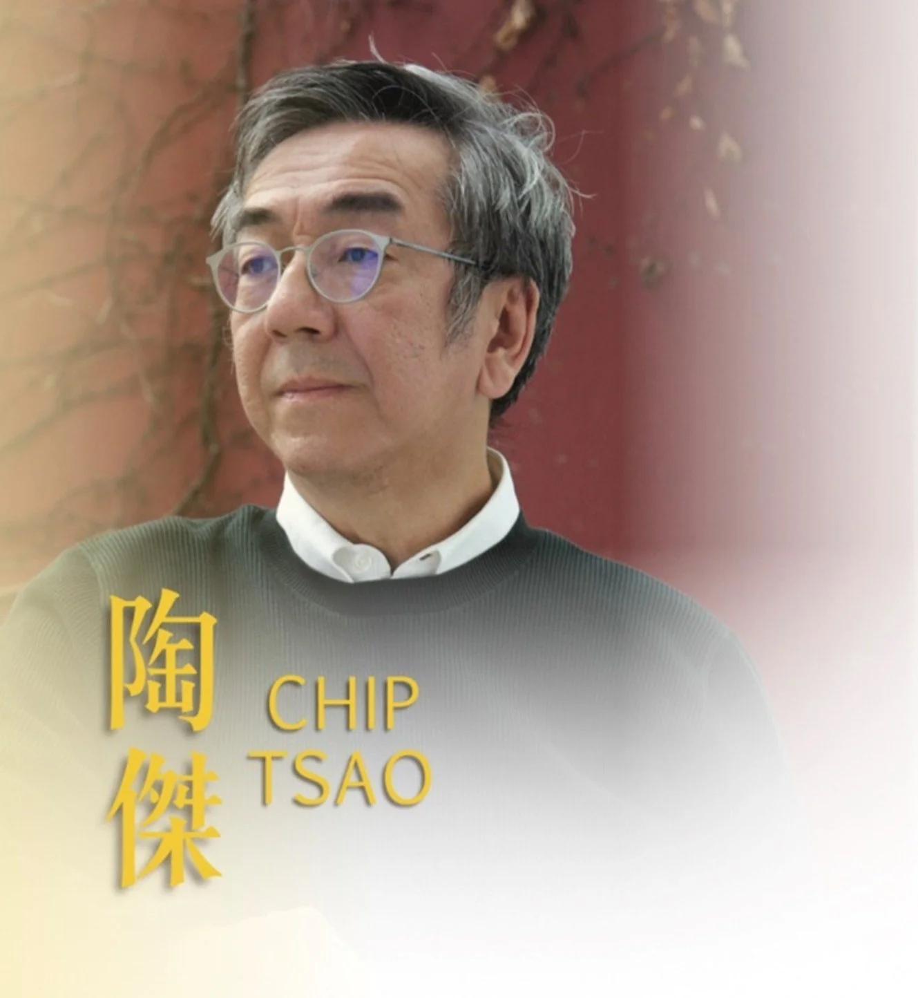 Chip Tsao 陶傑：A middle-aged man with glasses and dark hair, wearing a black sweater over a white collared shirt, sitting in front of a red wall with vines. Text in Chinese and English says 'Chip Tsao.'