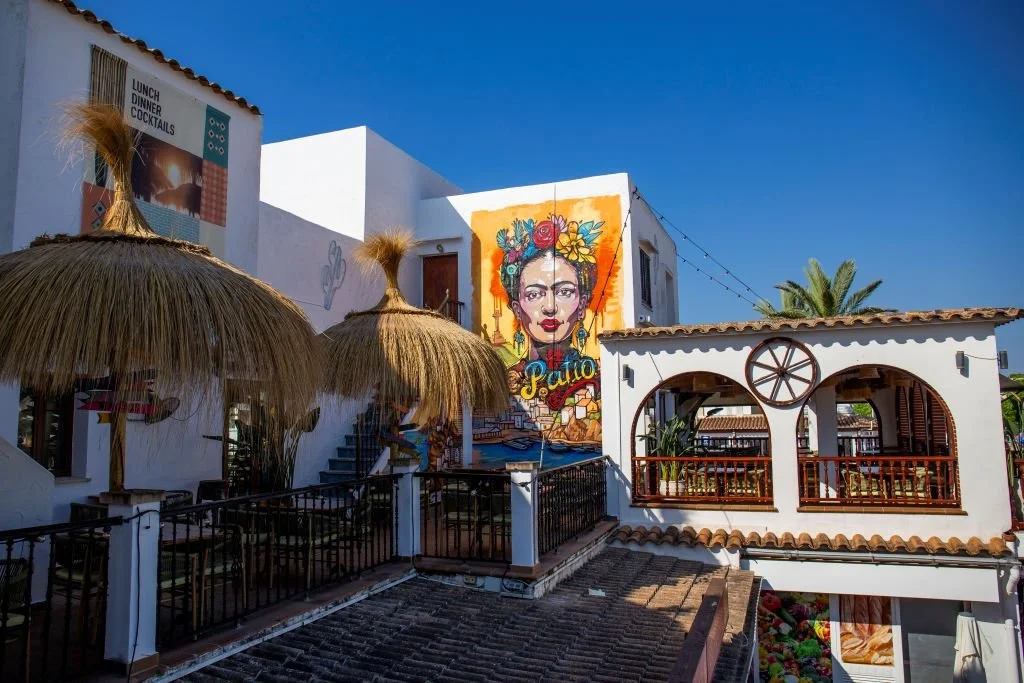 Frida 003 resize.JPG