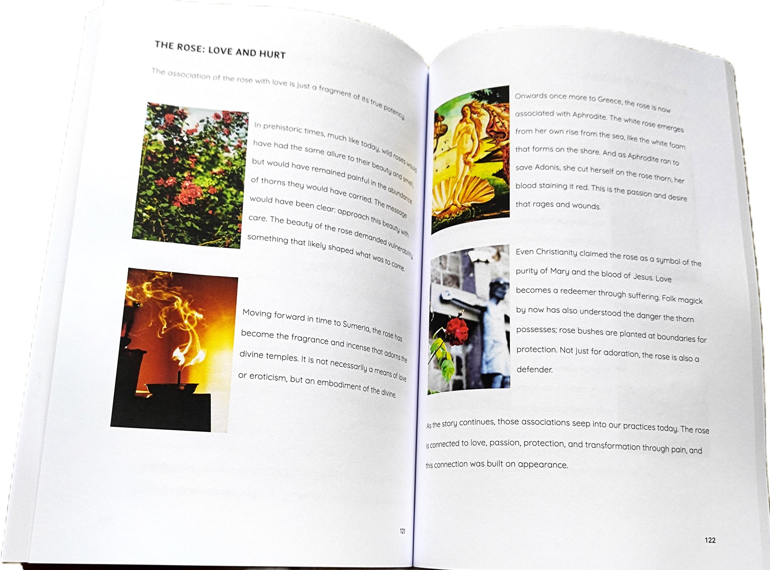 The Sacred No: The Baneful Path Commenced