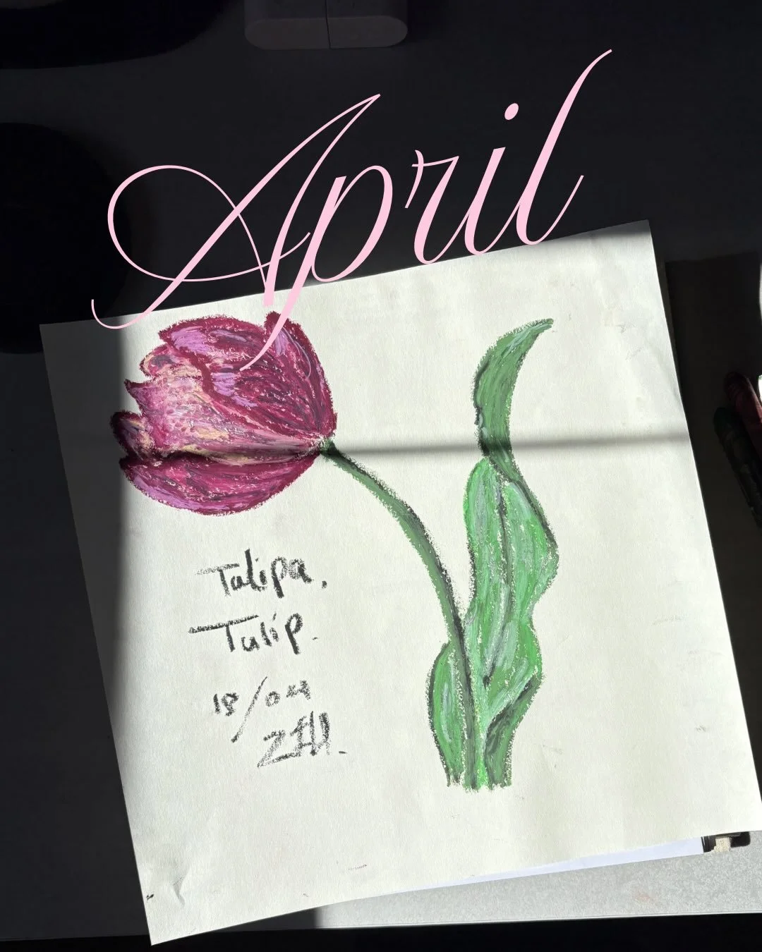 🌷🥂 April 🥂🌷
finally soaking up some vit D too🌞

About to dive into Module 3 (digitising in @adobe #illustrator) of Surface Design Immersion ✨

&bull; reunited with one of my oldest friends after 4 years 🥹💕
&bull; a bad boy Easter dinner 😋
&bu