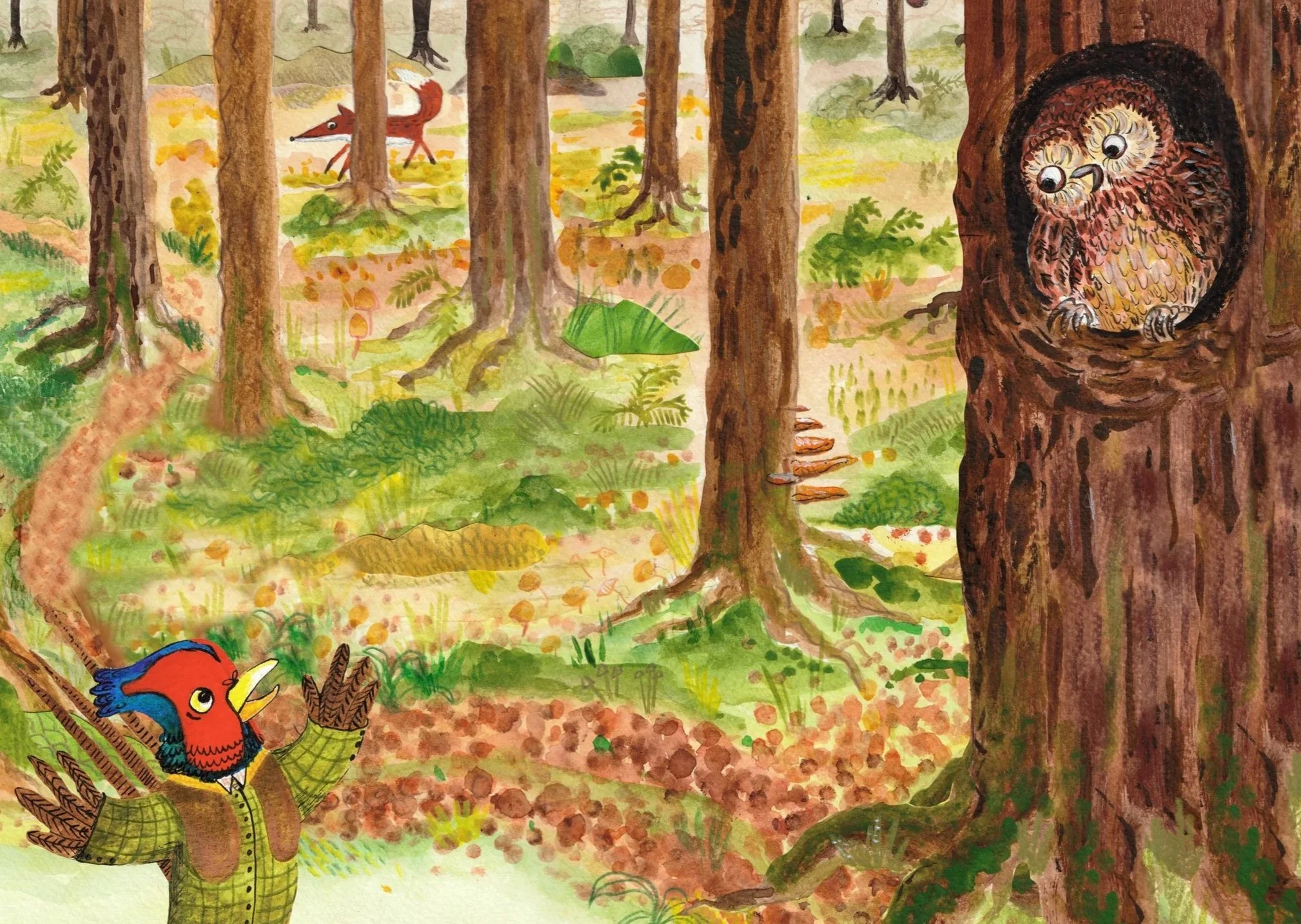 Fred Finds his Wings