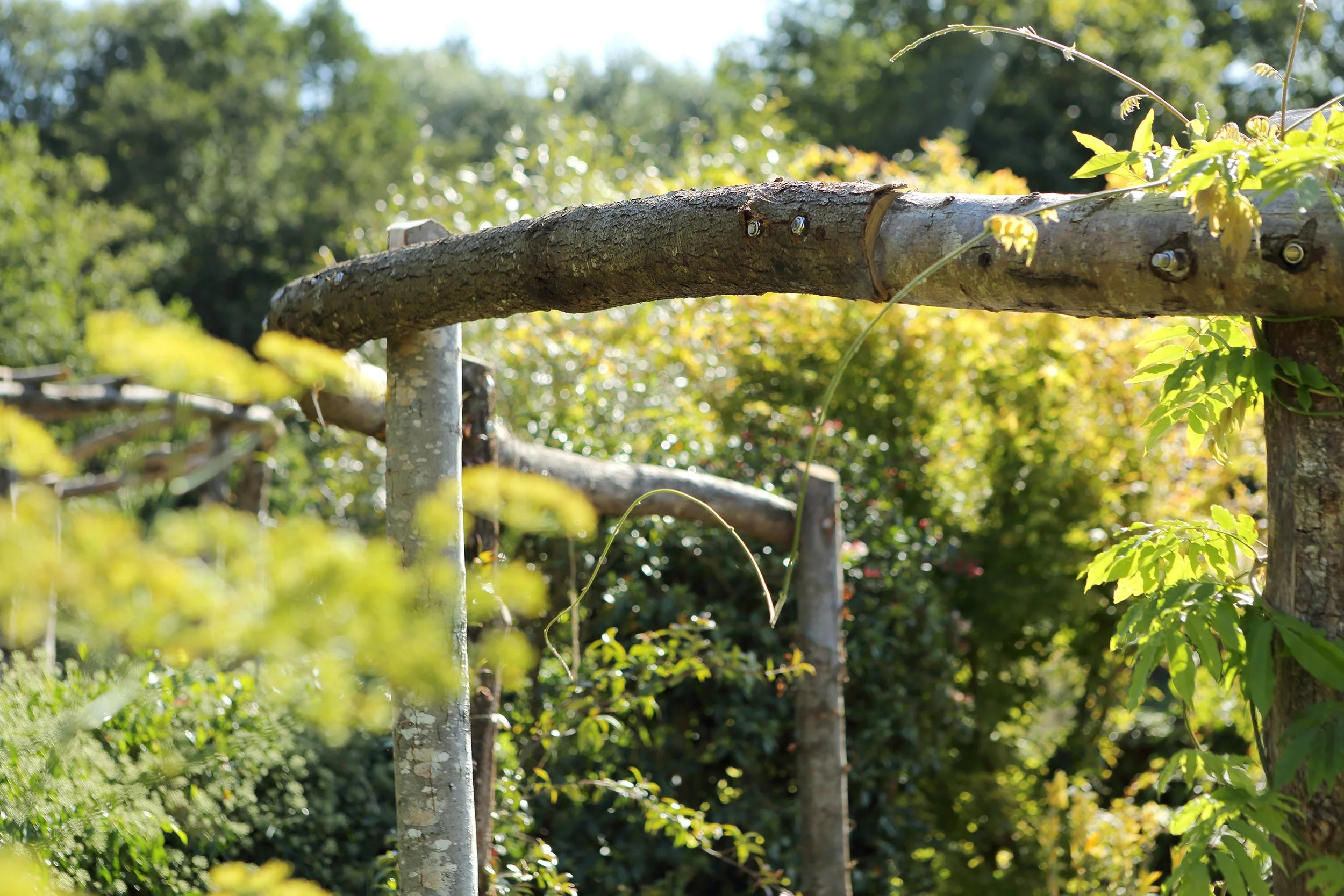 7_Barn_Arbor.JPG