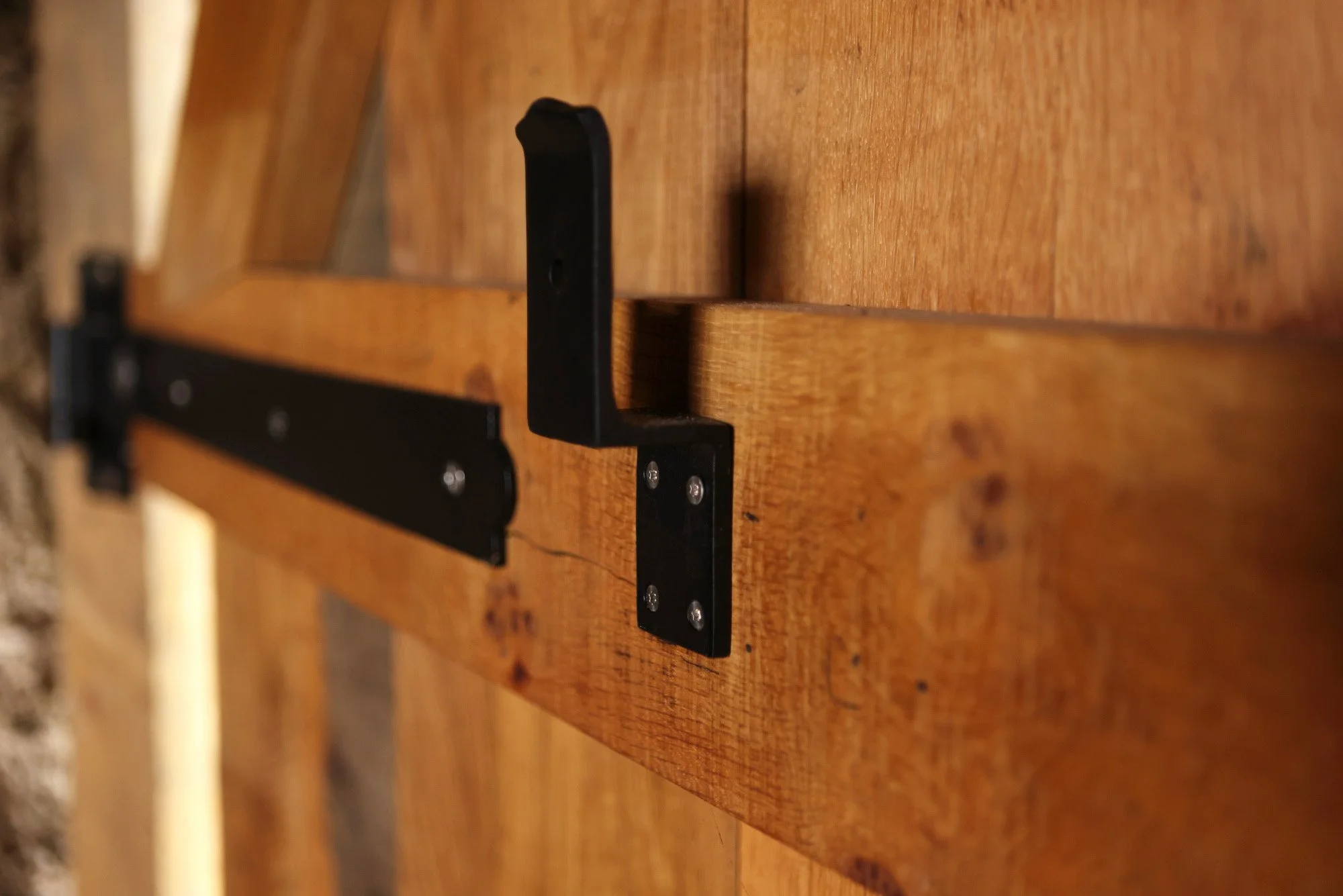 3_Barn_Doors.JPG