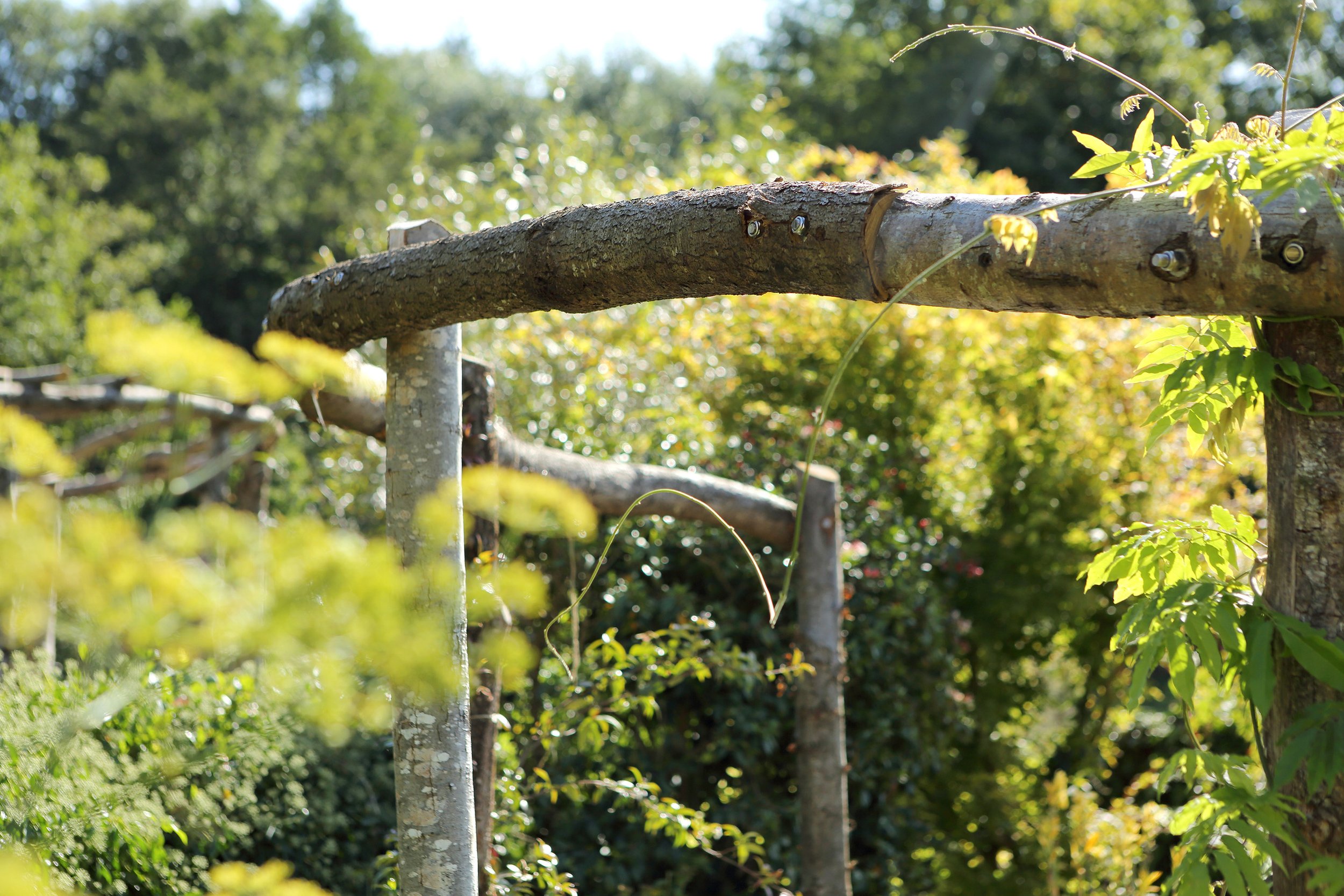 7_Barn_Arbor.JPG