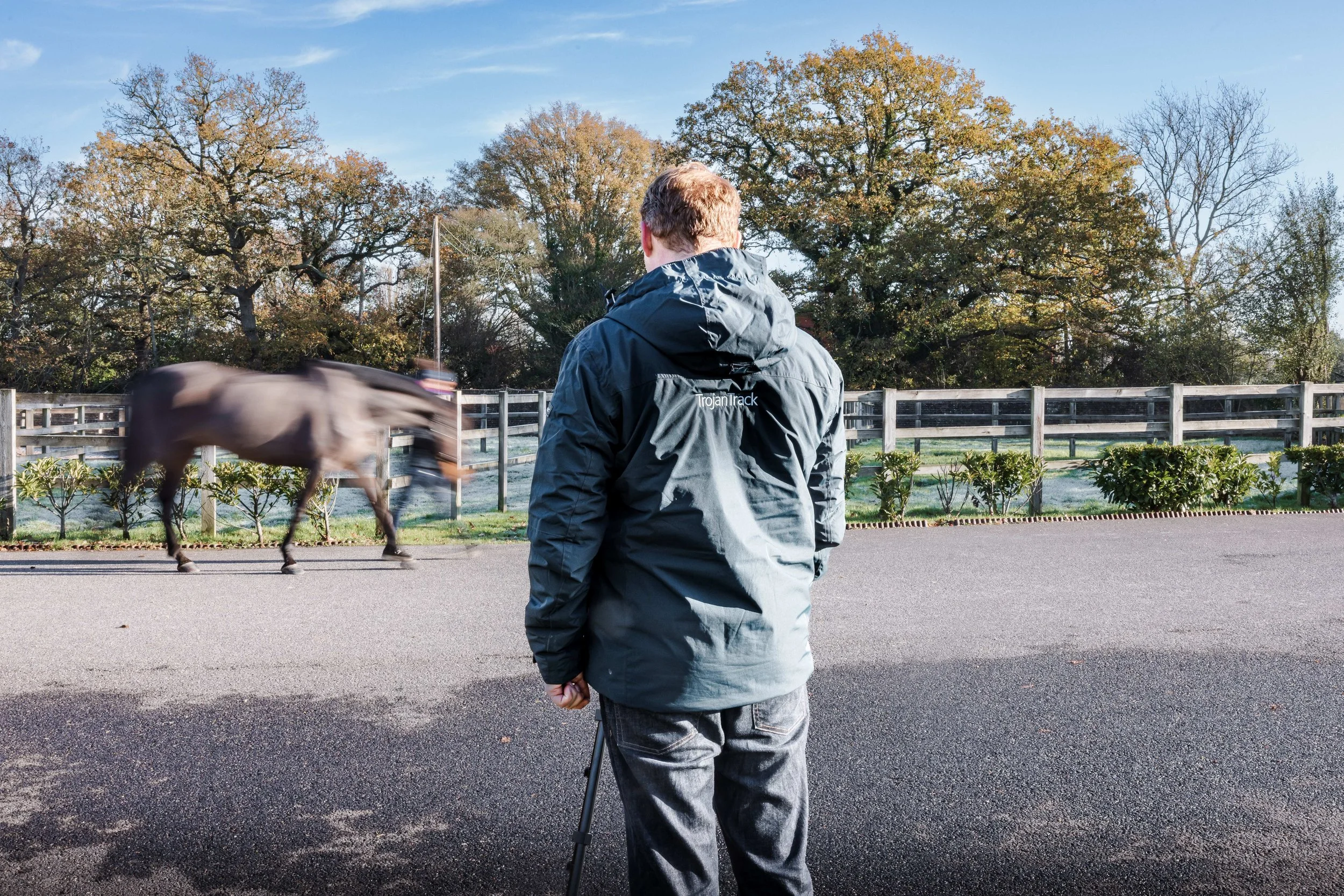 TrojanTrack | Equine Gait Analysis for Early Injury Detection
