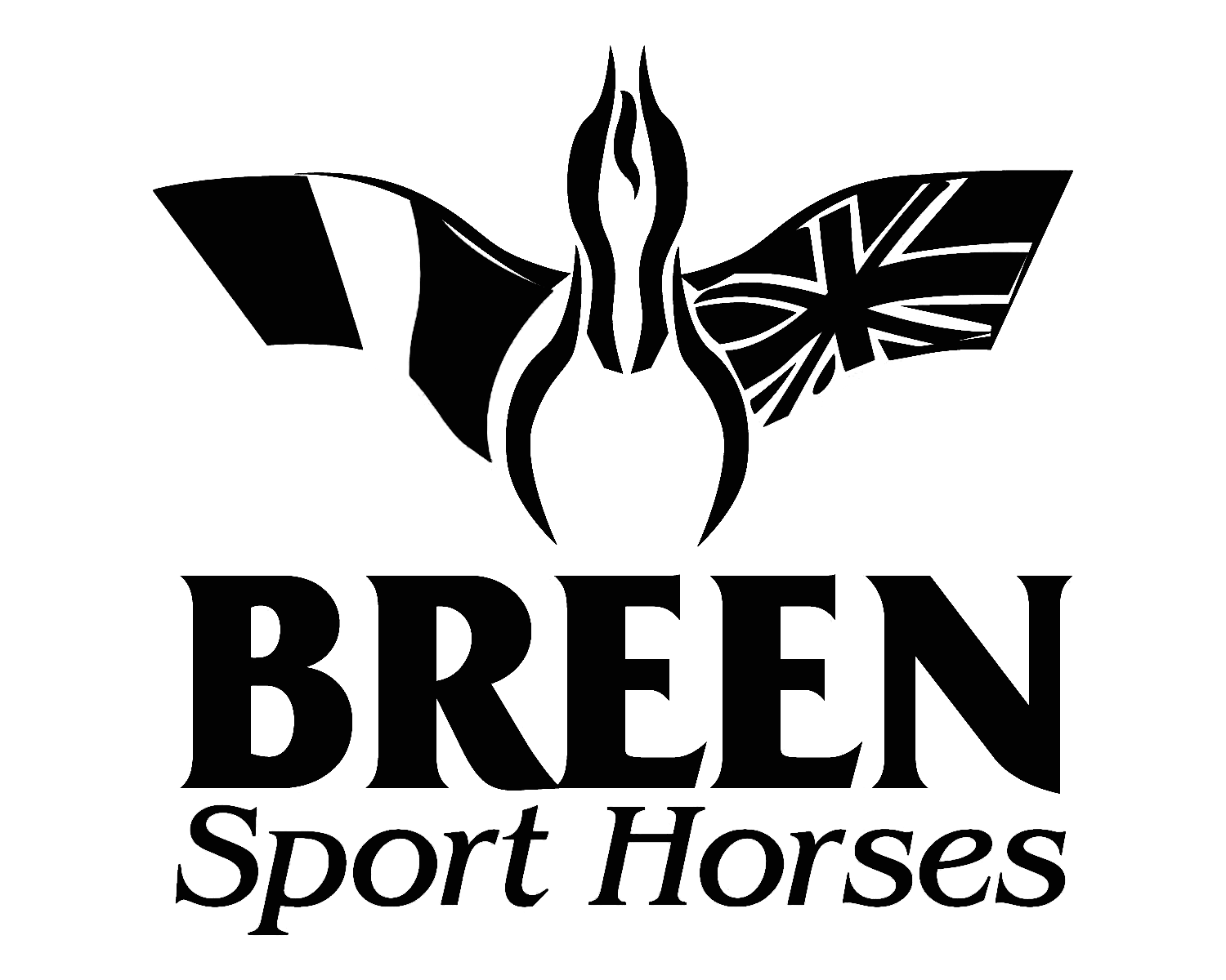 breen-sport-horses.png