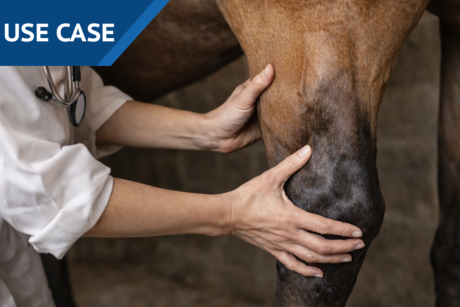 USE CASE: Hock - Flags Prior to Joint Infection