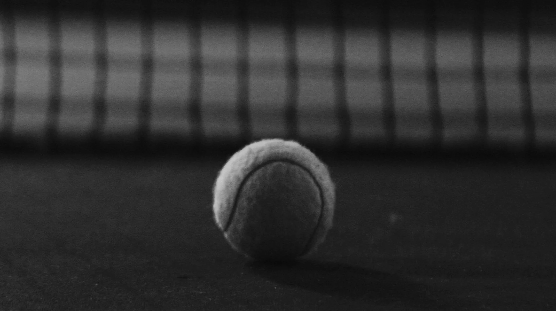 YOUNG LIONS AOTEAROA