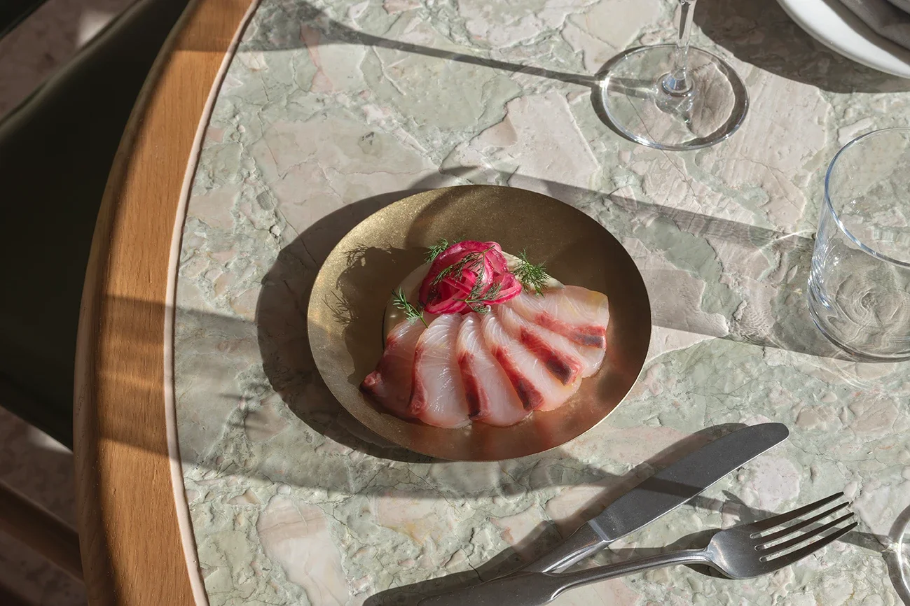 Hamsi_Yusuke_Oba_Jan_2026_Low_4-433b8dcd65.webp