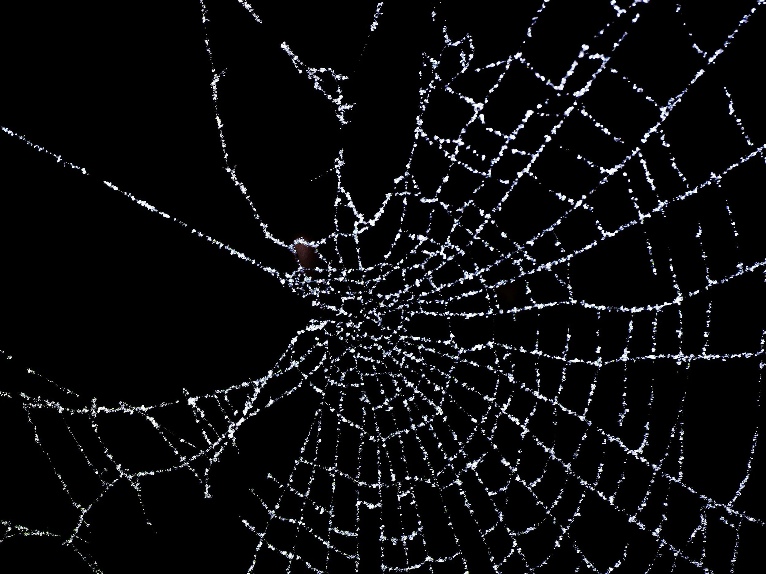 The Execution Trap - Why Most Transformations Stall in the Middle