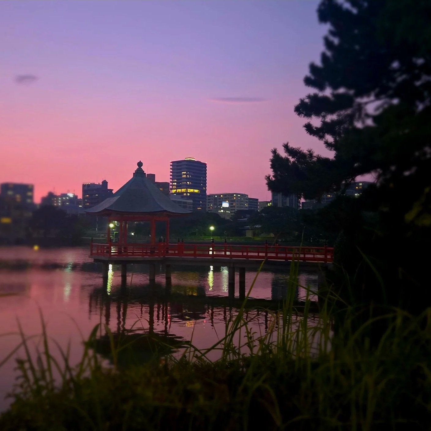 ohari-park-sunset-purple.jpg