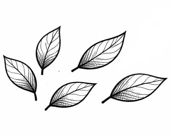 FORMULE 3 (5-beurtenkaart)        €24 / dag        Je betaalt voor 5 beurten, geldig t.e.m. de laatste les in juni. (5 dagen) TOTAAL: €120,00        