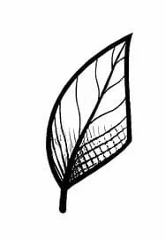 FORMULE 6 (1 losse halve dag)             
Je betaalt voor een halve dag. (0,5 dagen) TOTAAL:   € 16,00 