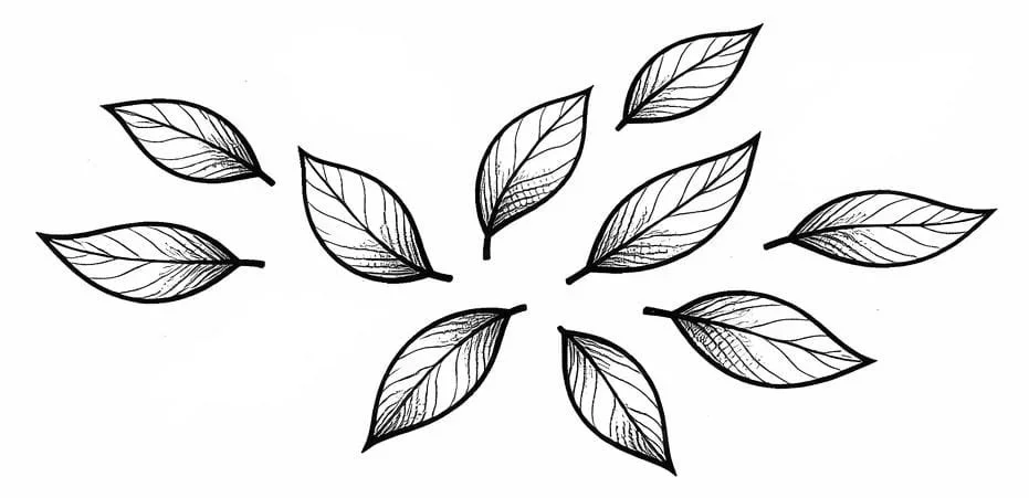 FORMULE 4 (10 halve dagen)        €14 / halve dag          Je betaalt voor 10 halve dagen, geldig t.e.m. de laatste les in juni. (2,5 dagen)   TOTAAL: € 140,00   