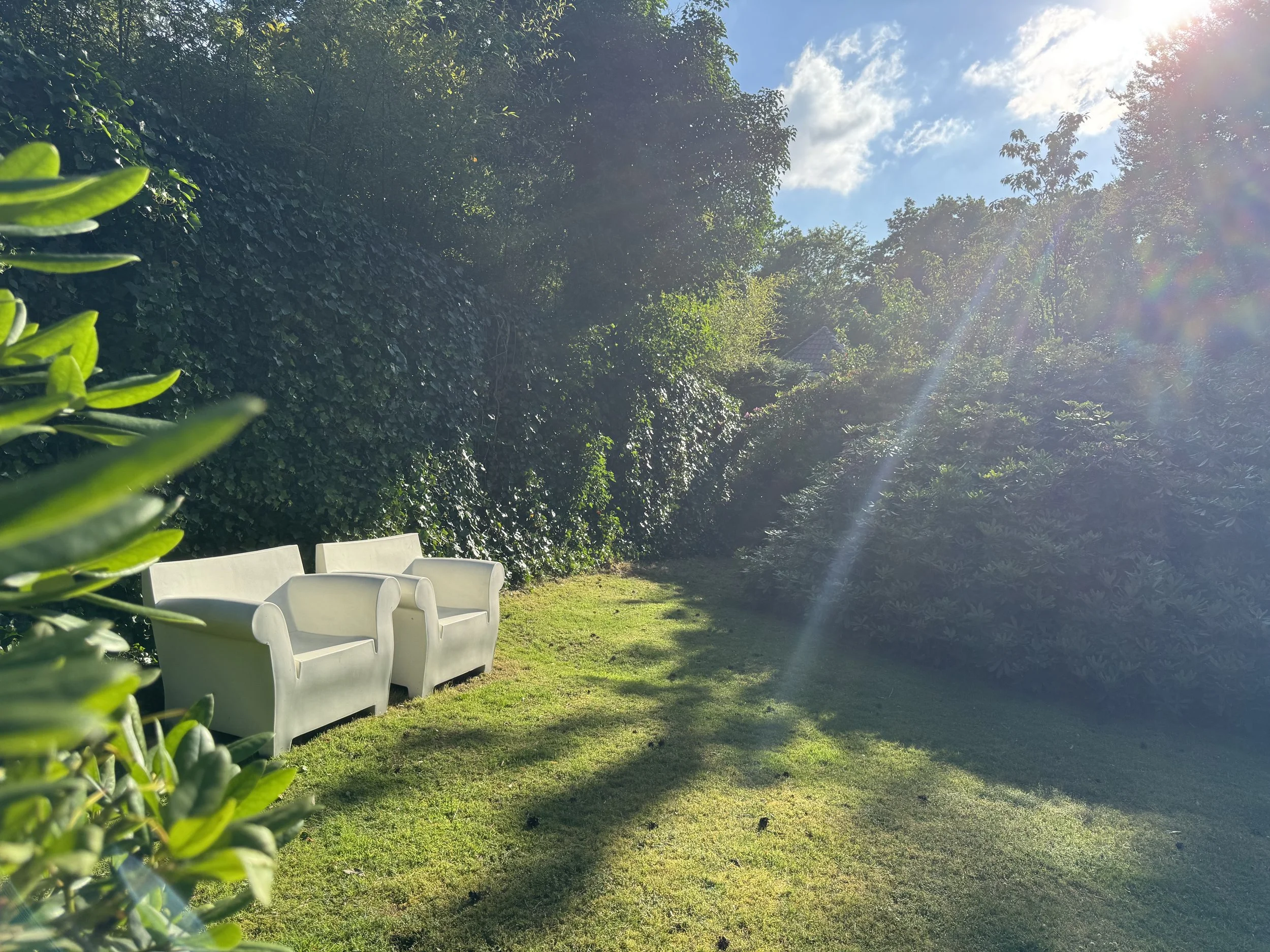 Two white armchairs on a grassy lawn next to bushes and trees with sunlight shining through, under a partly cloudy sky.