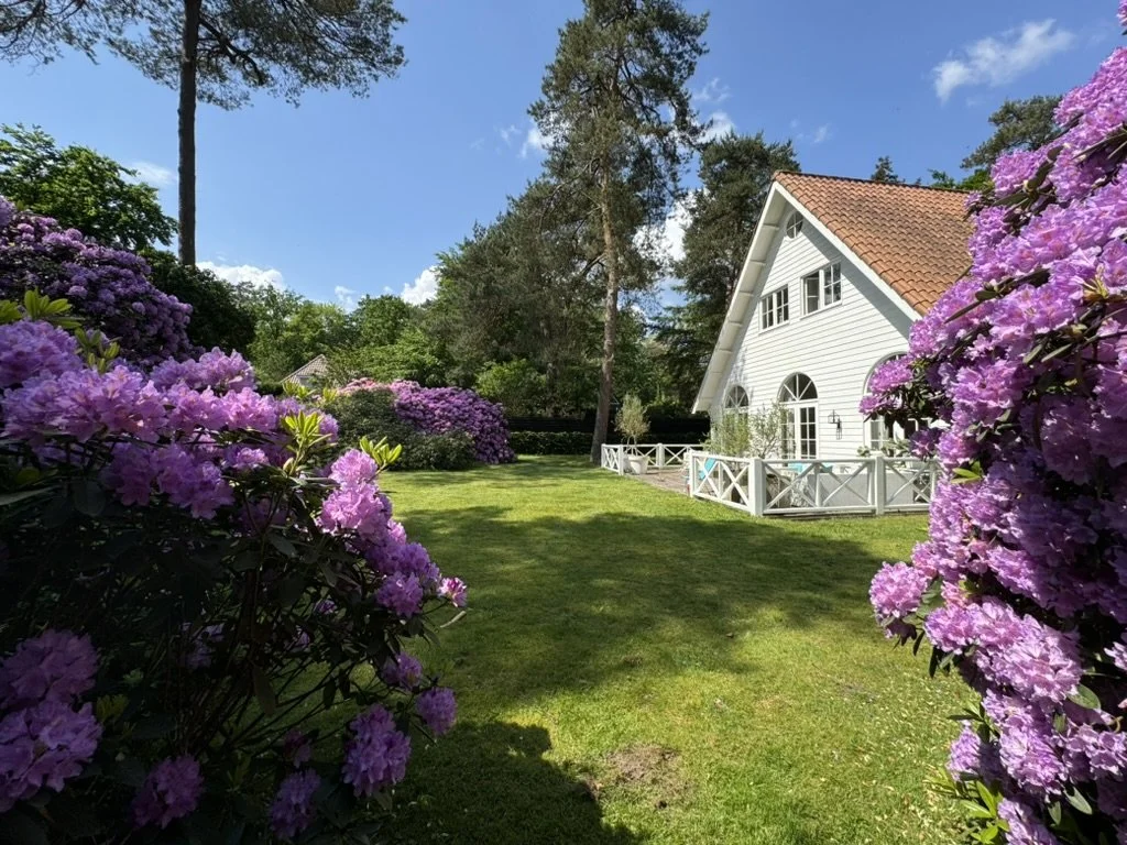 A white house with a brown tile roof surrounded by a lush green lawn and blooming purple rhododendron bushes, under a bright blue sky with scattered clouds.