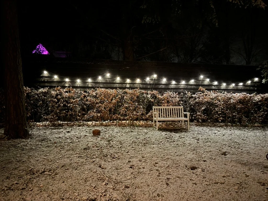A snowy backyard at night with a wooden bench, string lights on a fence, snow-covered bushes, and a purple-lit tree in the background.