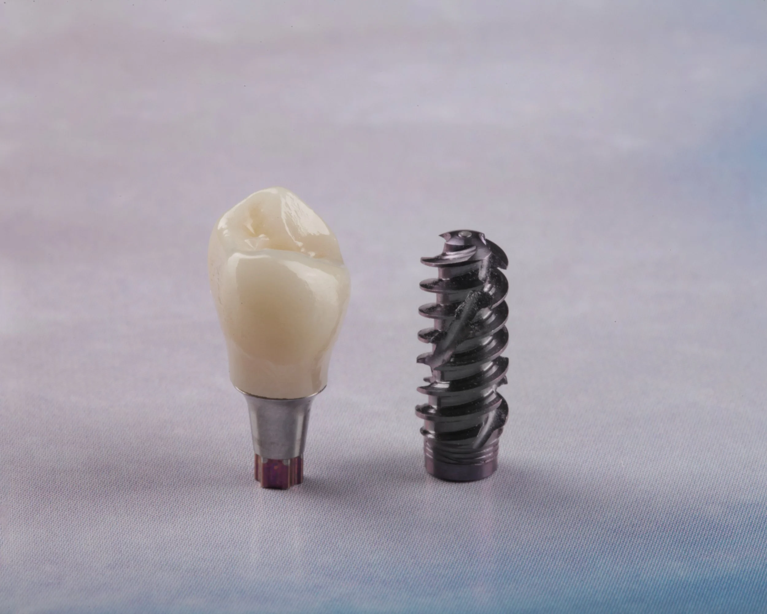 A dental implant abutment next to a dental implant screw on a white background.