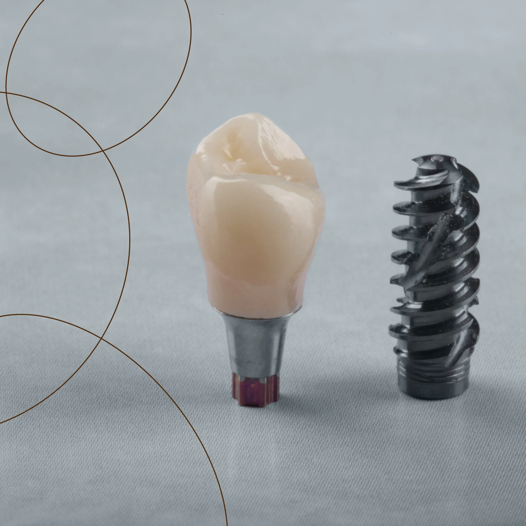 Dentist holding a dental implant