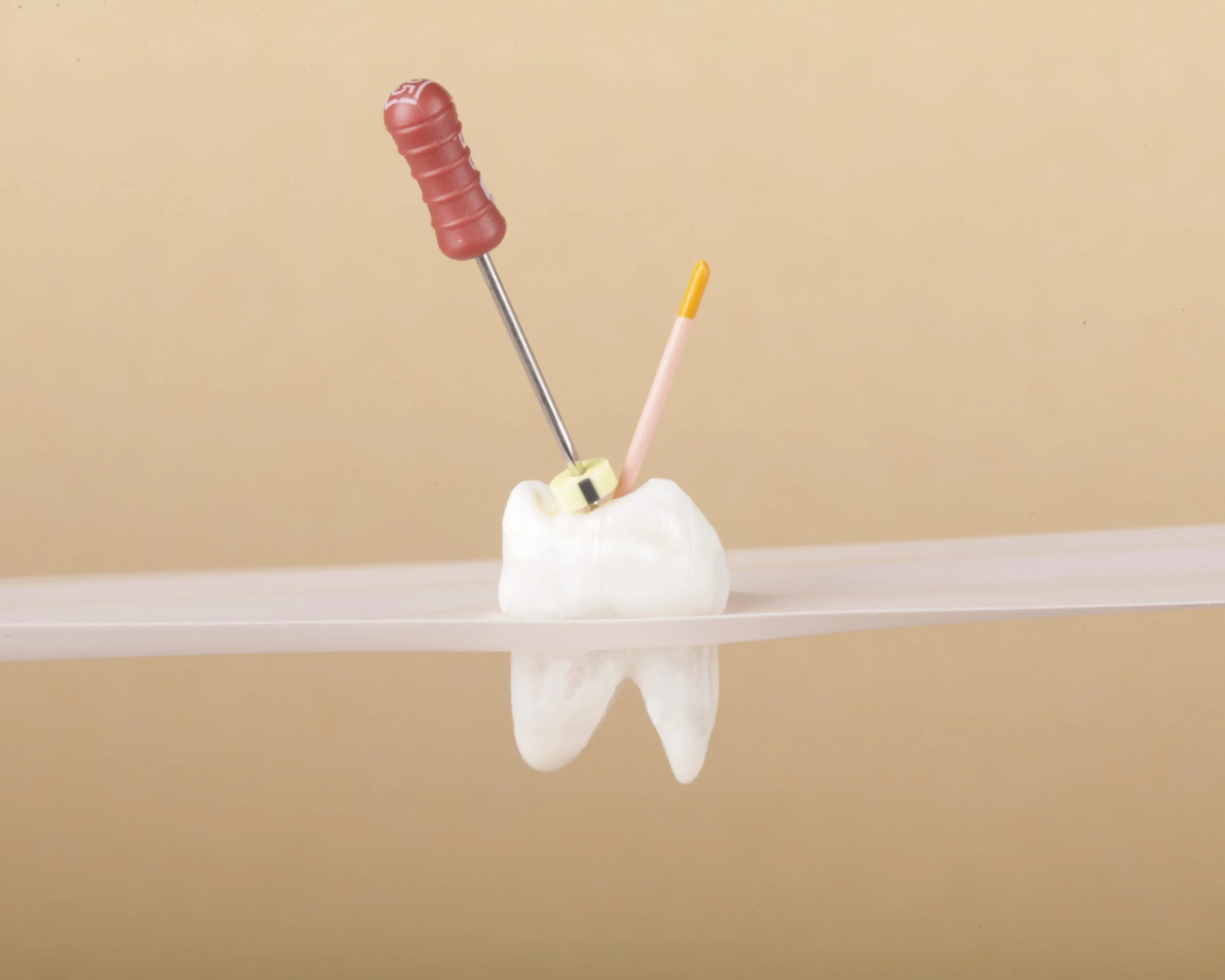 Model of a tooth with dental tools, including a toothpick with a red rubber top and a yellow-tipped match, placed on a reflective surface.