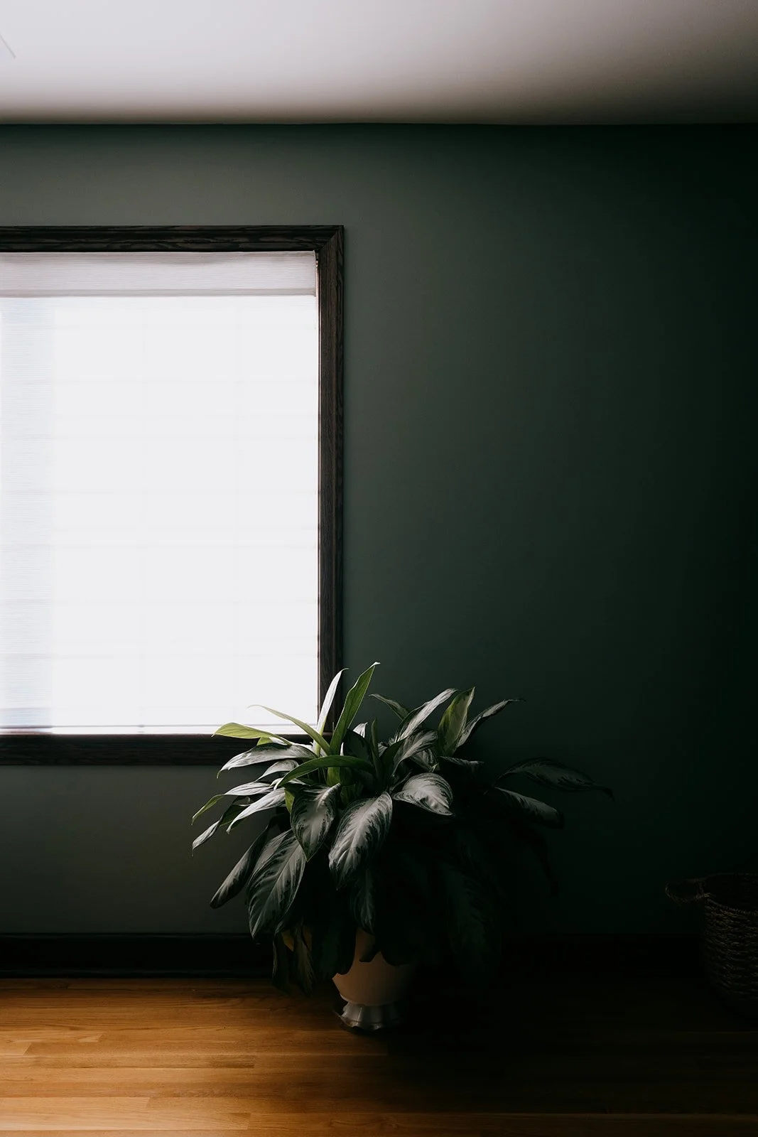 Swanky Bolt Studios - 20511 Morewood - Details-17.jpg