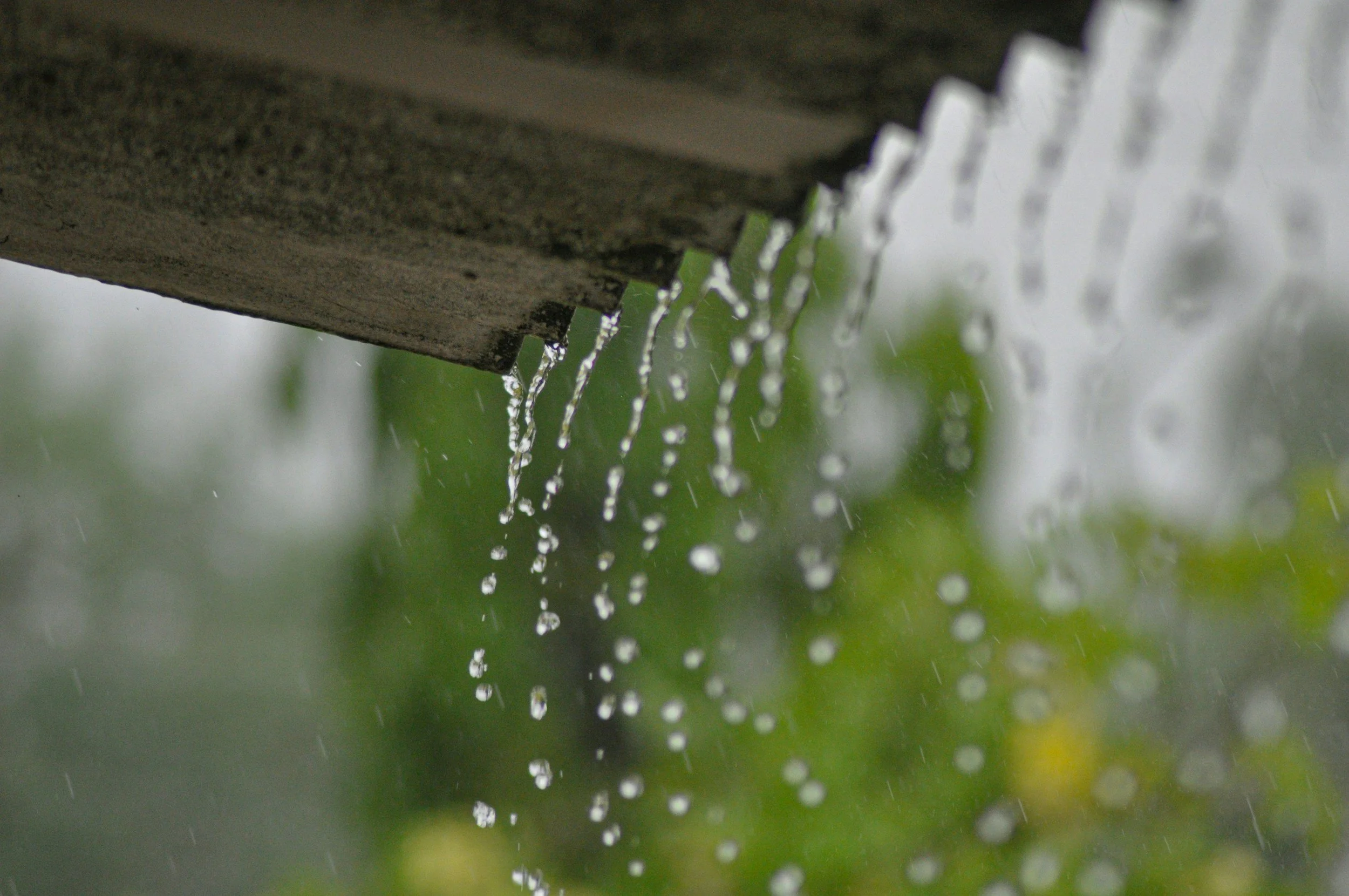 How Rainwater Harvesting Saves Money