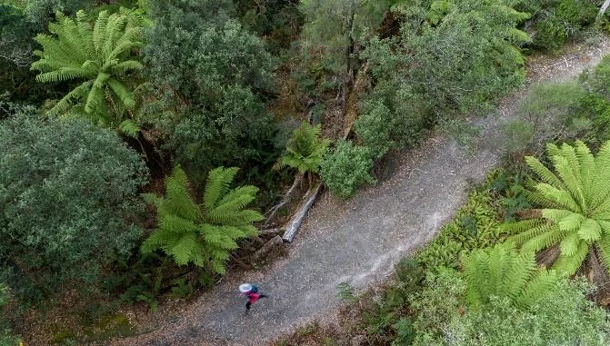 Wilderness, Vintage Blazers &amp; Confidence