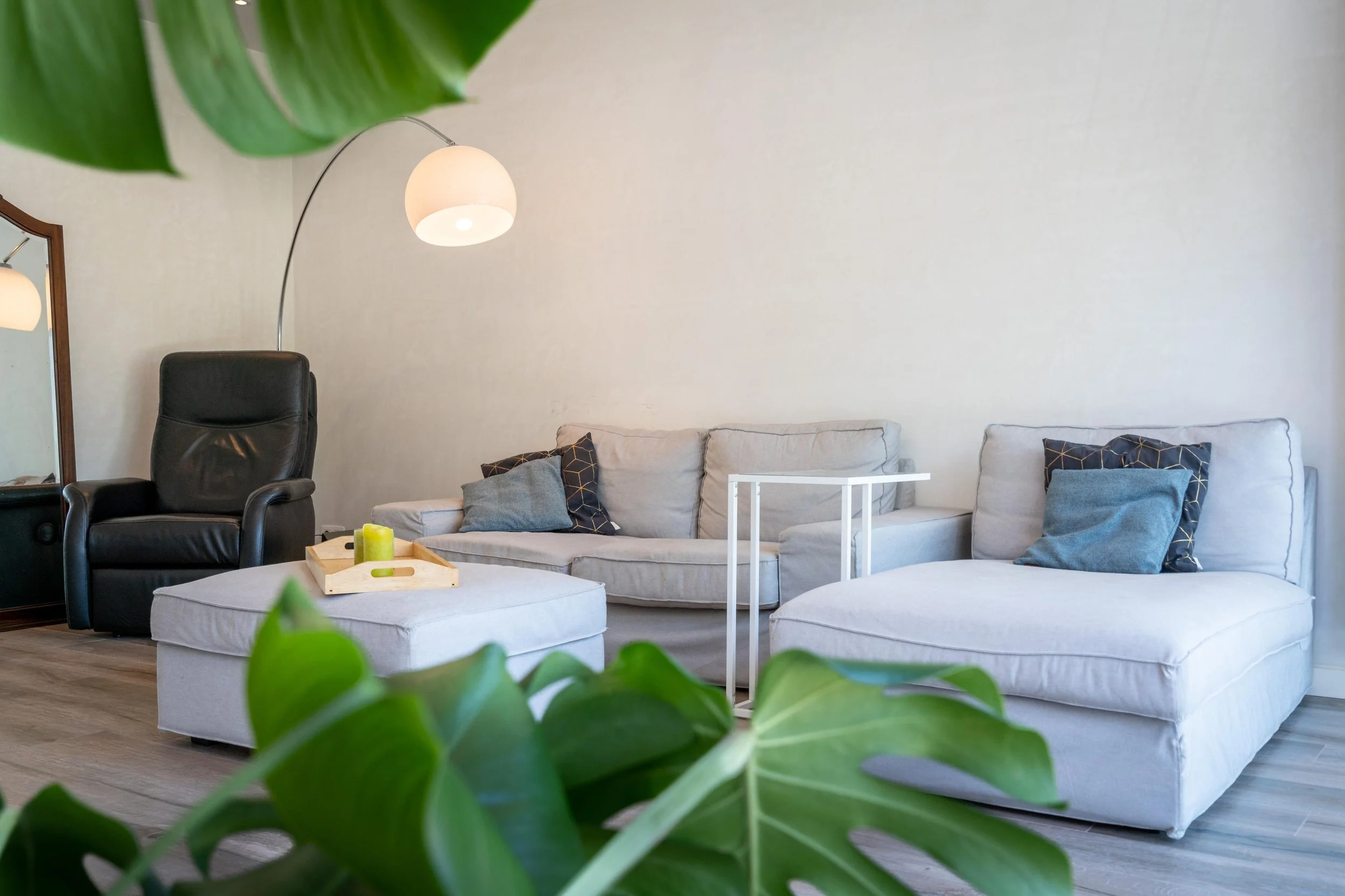 Een detailfoto van een living met plant in de voorgrond, Gent