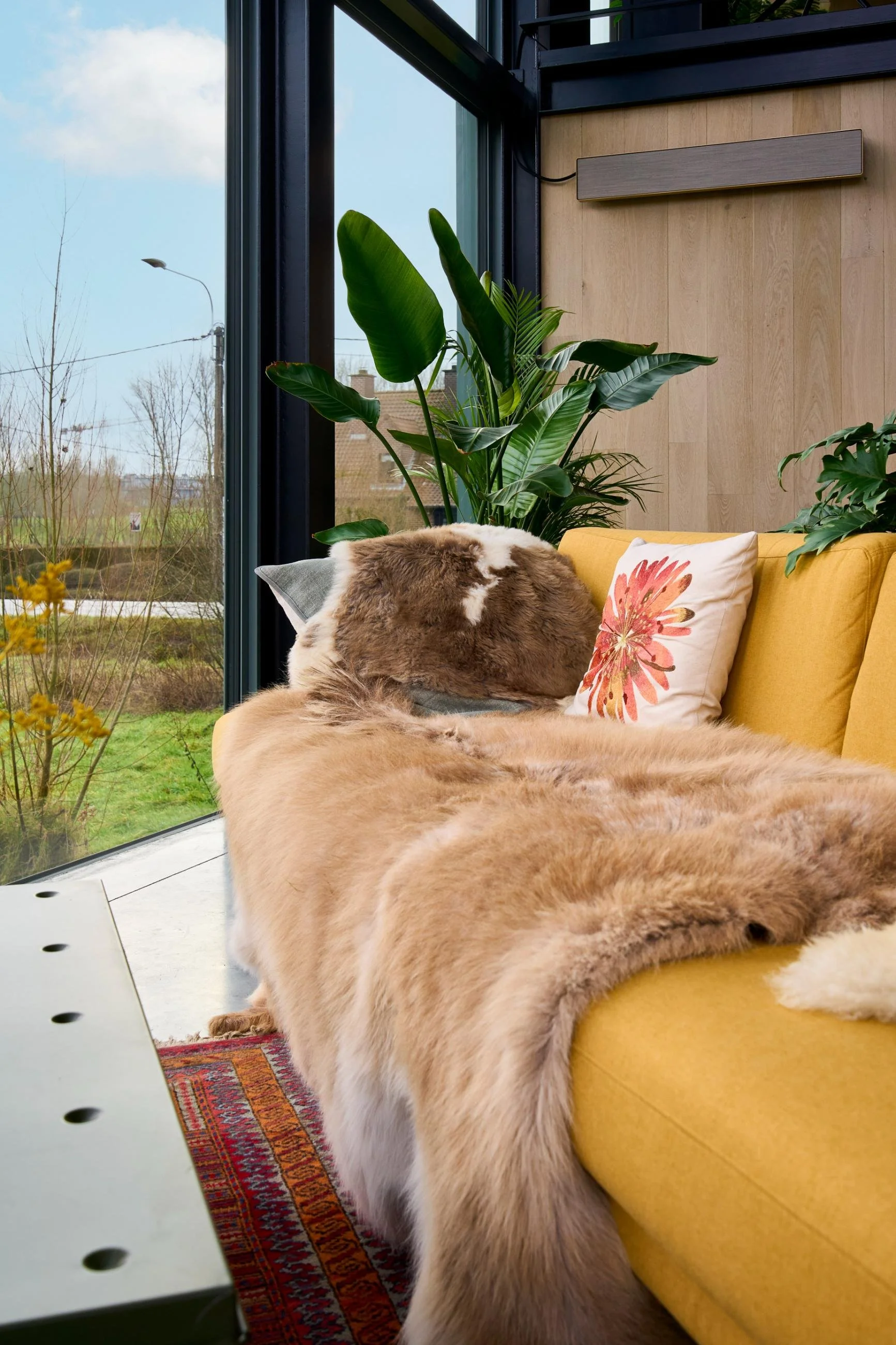 Detailfoto van een salon met gele zetel en grote ramen, architectenwoning te Brakel
