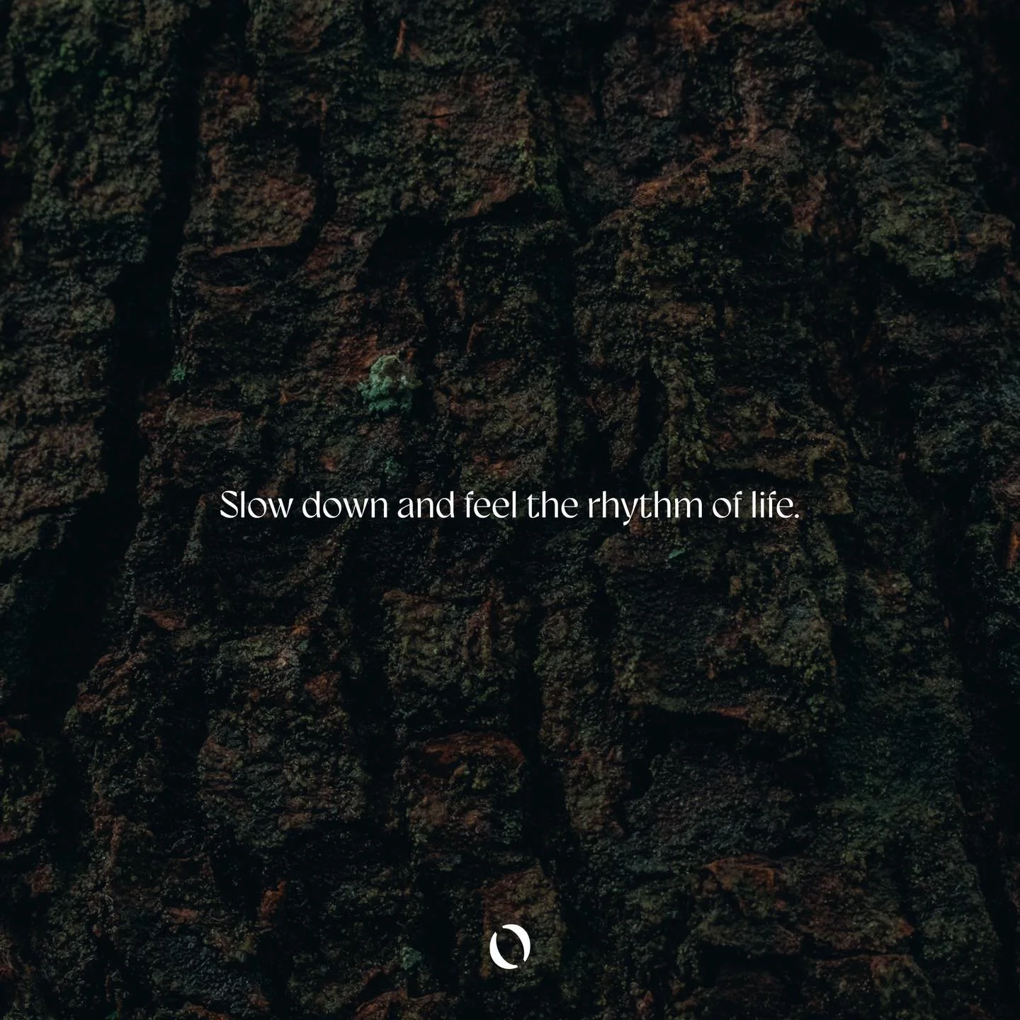 In the open biedt ondernemers, managers en hun teams een outdoor experience waarbij je jezelf en anderen (her)ontdekt op het ritme van de natuur.
Je verblijft 48 uur in rustgevende natuur waar authenticiteit, bewustwording en persoonlijke groei cent