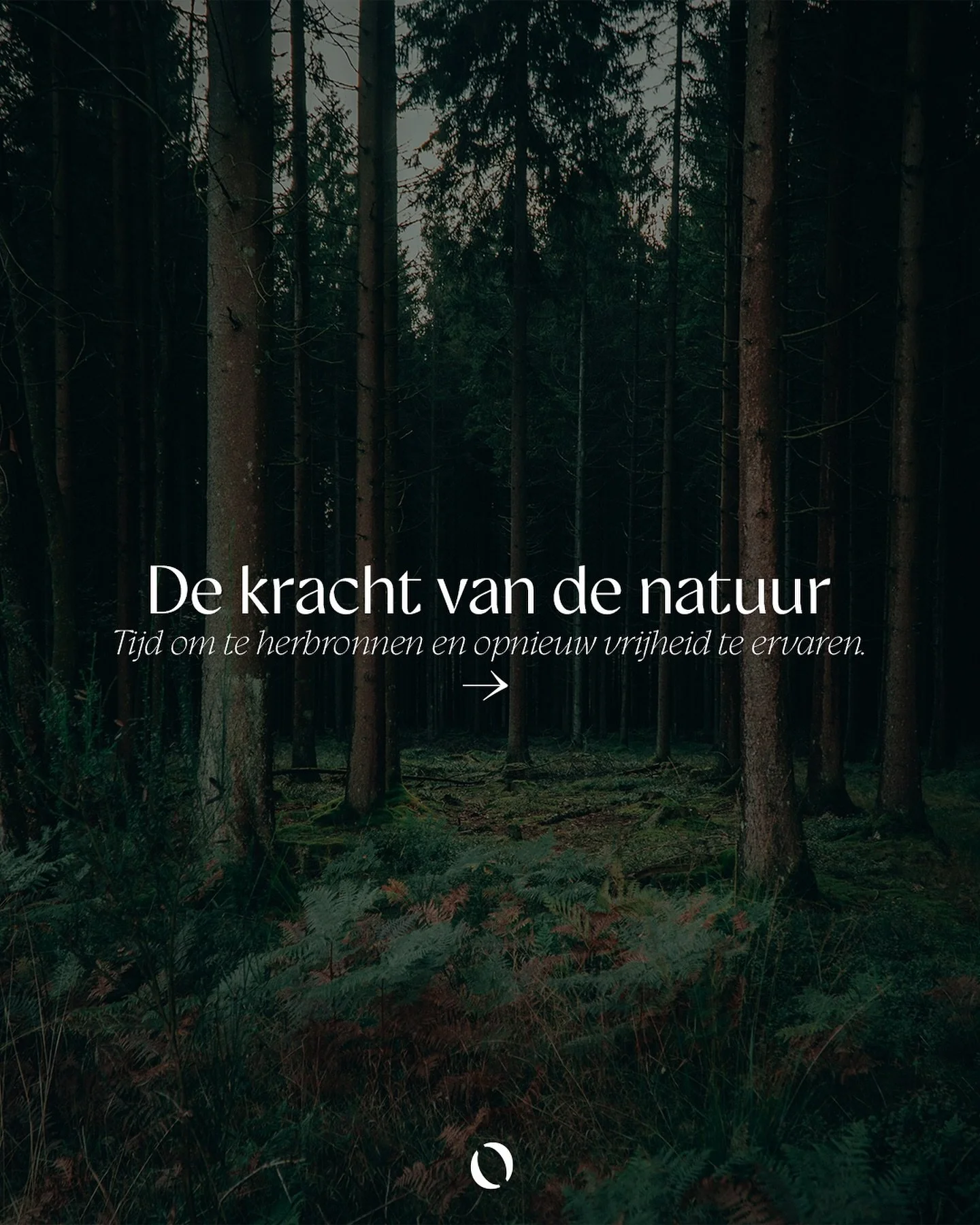 In the open biedt ondernemers, managers en hun teams een outdoor experience waarbij je jezelf en anderen (her)ontdekt op het ritme van de natuur.
Je verblijft 48 uur in rustgevende natuur waar authenticiteit, bewustwording en persoonlijke groei cent