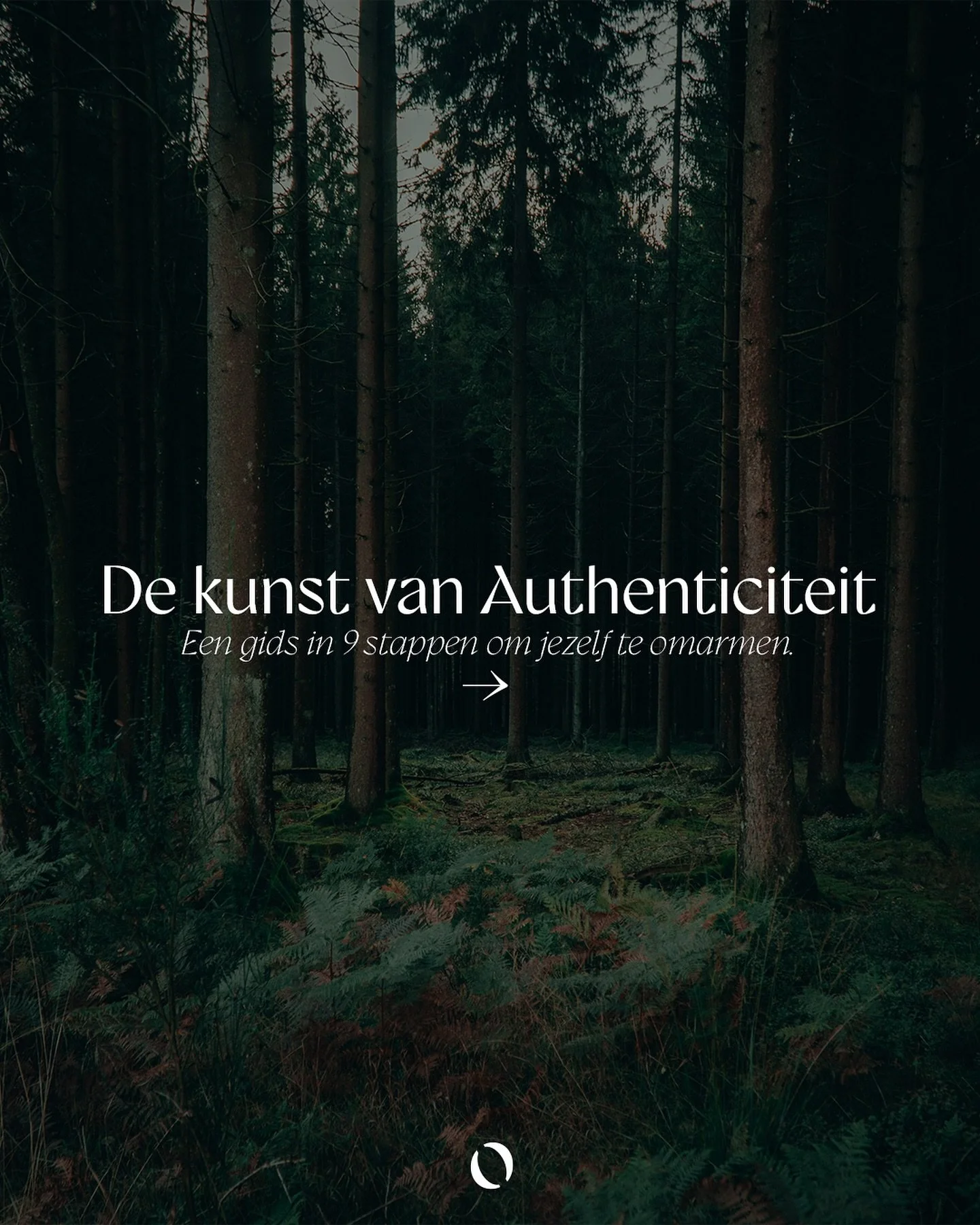In the open biedt ondernemers, managers en hun teams een outdoor experience waarbij je jezelf en anderen (her)ontdekt op het ritme van de natuur.
Je verblijft 48 uur in rustgevende natuur waar authenticiteit, bewustwording en persoonlijke groei cent