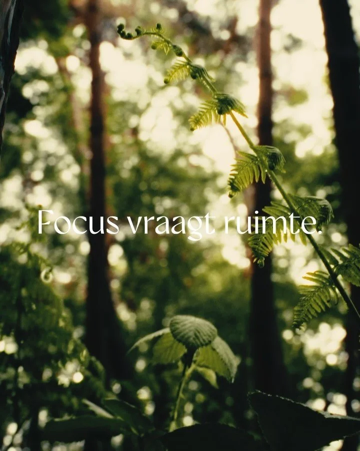 In the open biedt ondernemers, managers en hun teams een outdoor experience waarbij je jezelf en anderen (her)ontdekt op het ritme van de natuur.
Je verblijft 48 uur in rustgevende natuur waar authenticiteit, bewustwording en persoonlijke groei cent