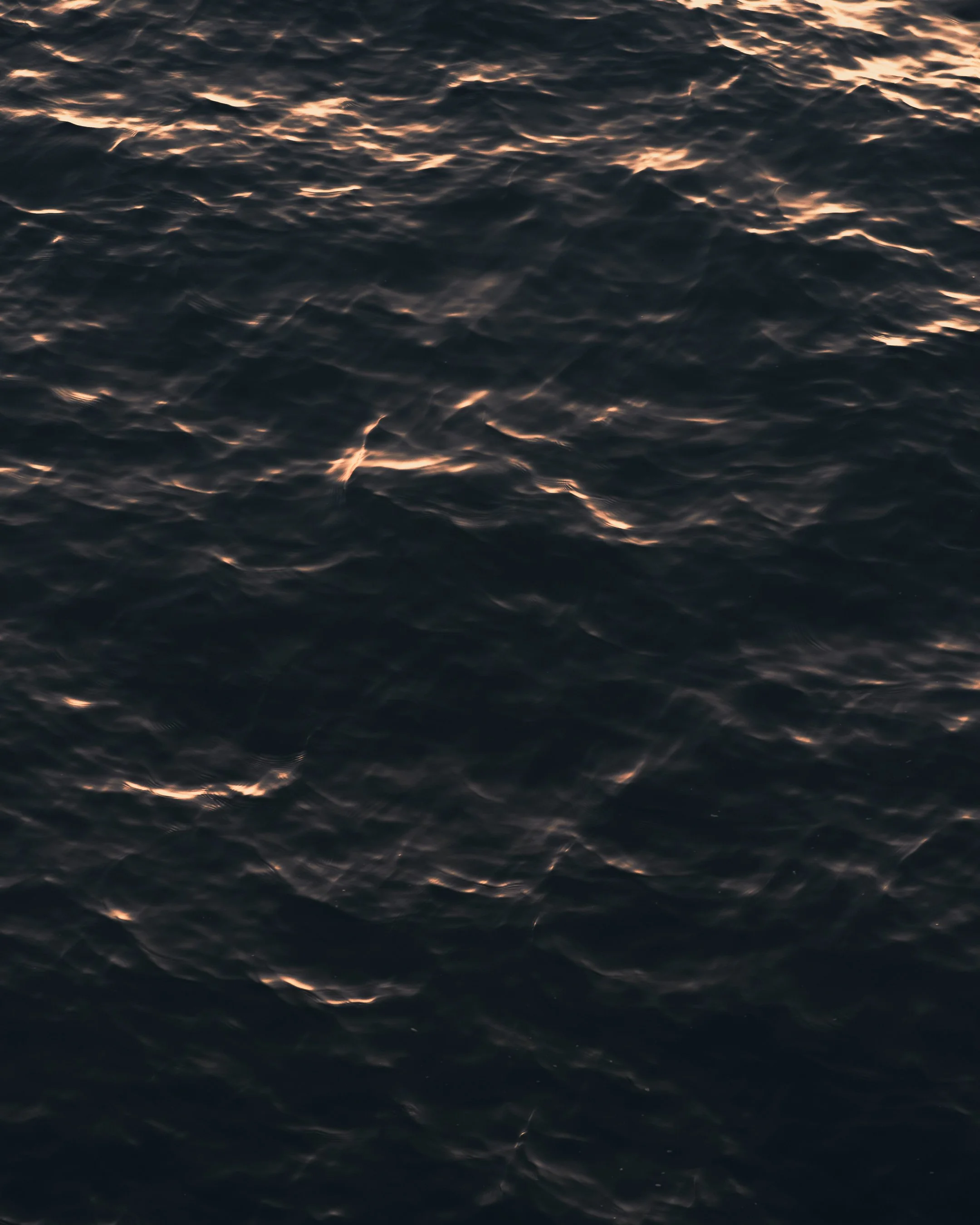 Brighton-1399.jpg