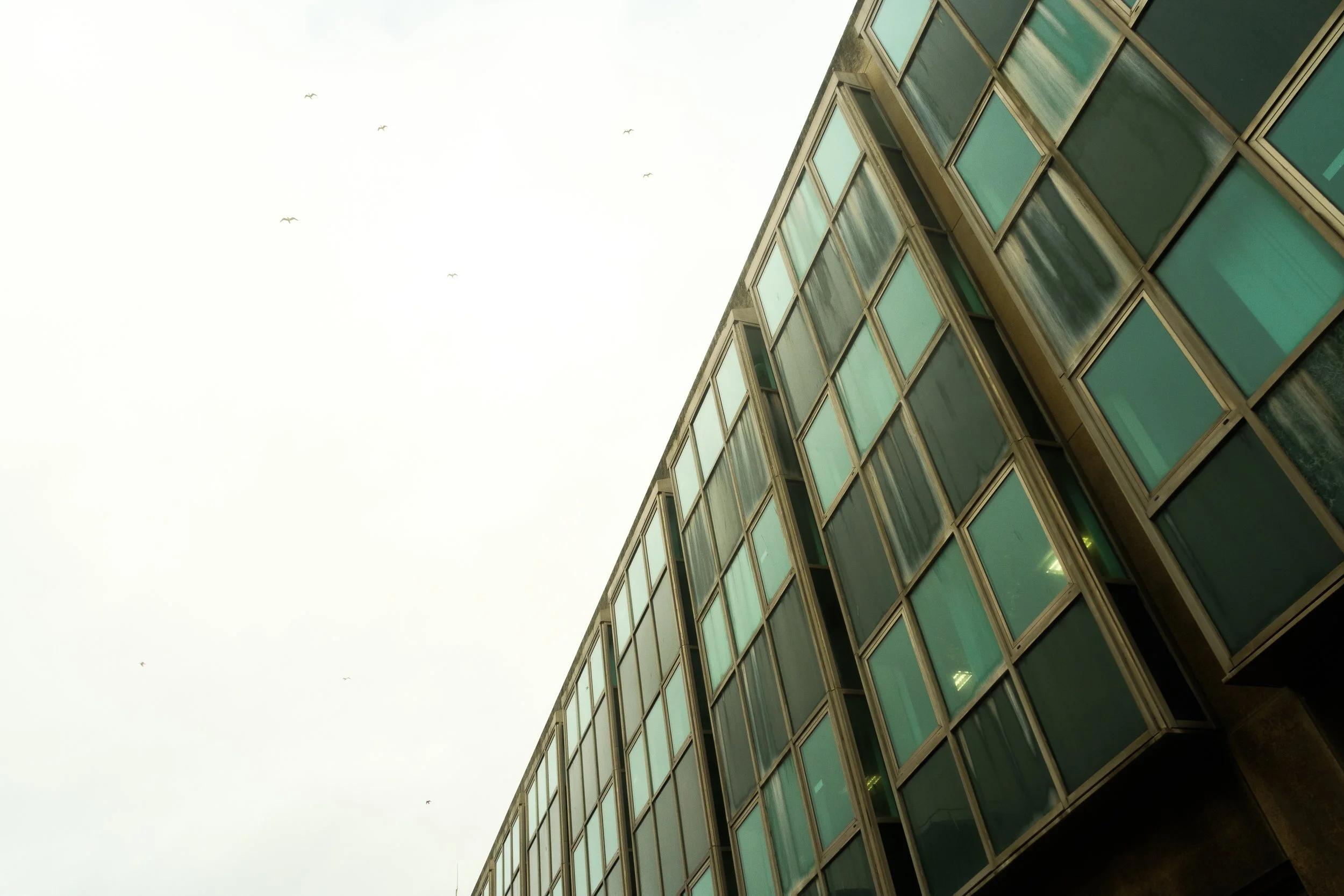 Brighton-1054.jpg