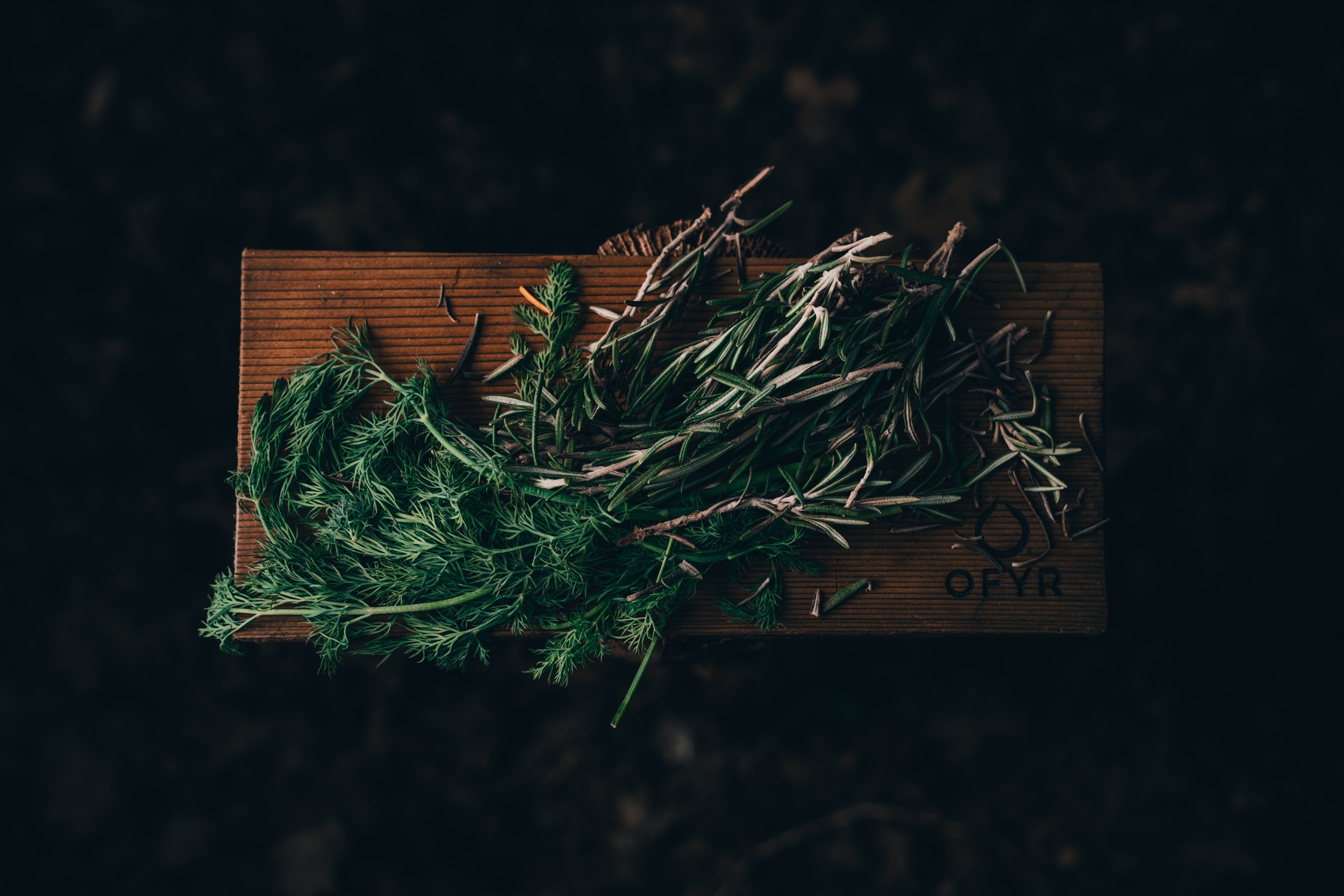 OpenFire-04920.jpg