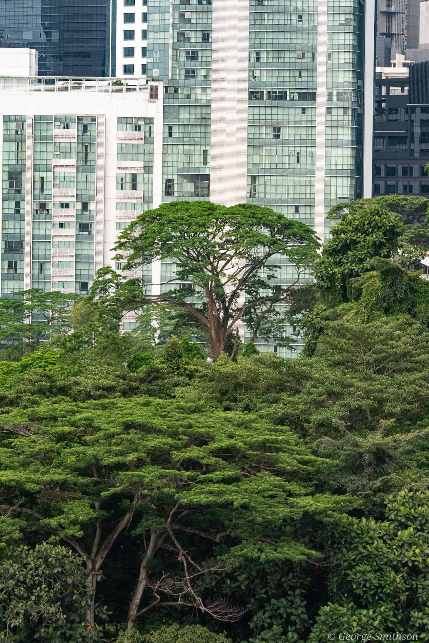 Taking this image made me think about two completely opposite worlds. KL, Malaysia, 2024.
