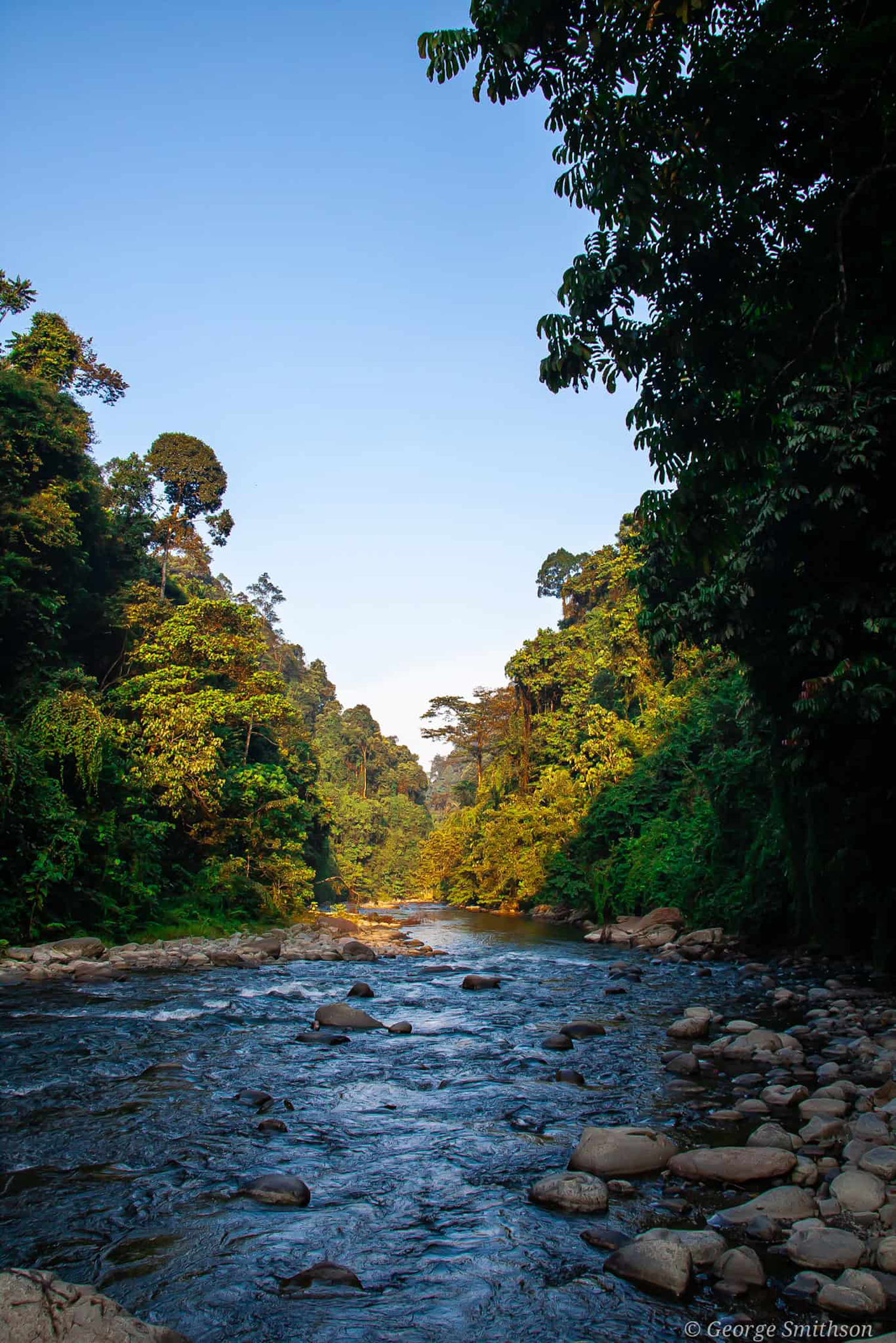 took a moment to soak in how wild and beautiful this place was. Most importantly, how it must be protected. Sumatra, Indonesia, 2019.