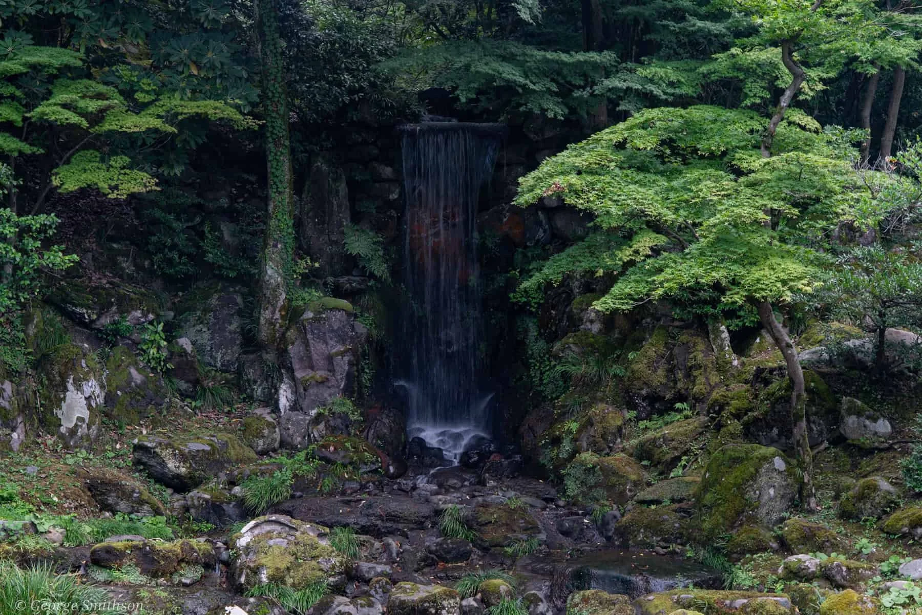 Soaking in the simple beauty of nature. Japan, 2025