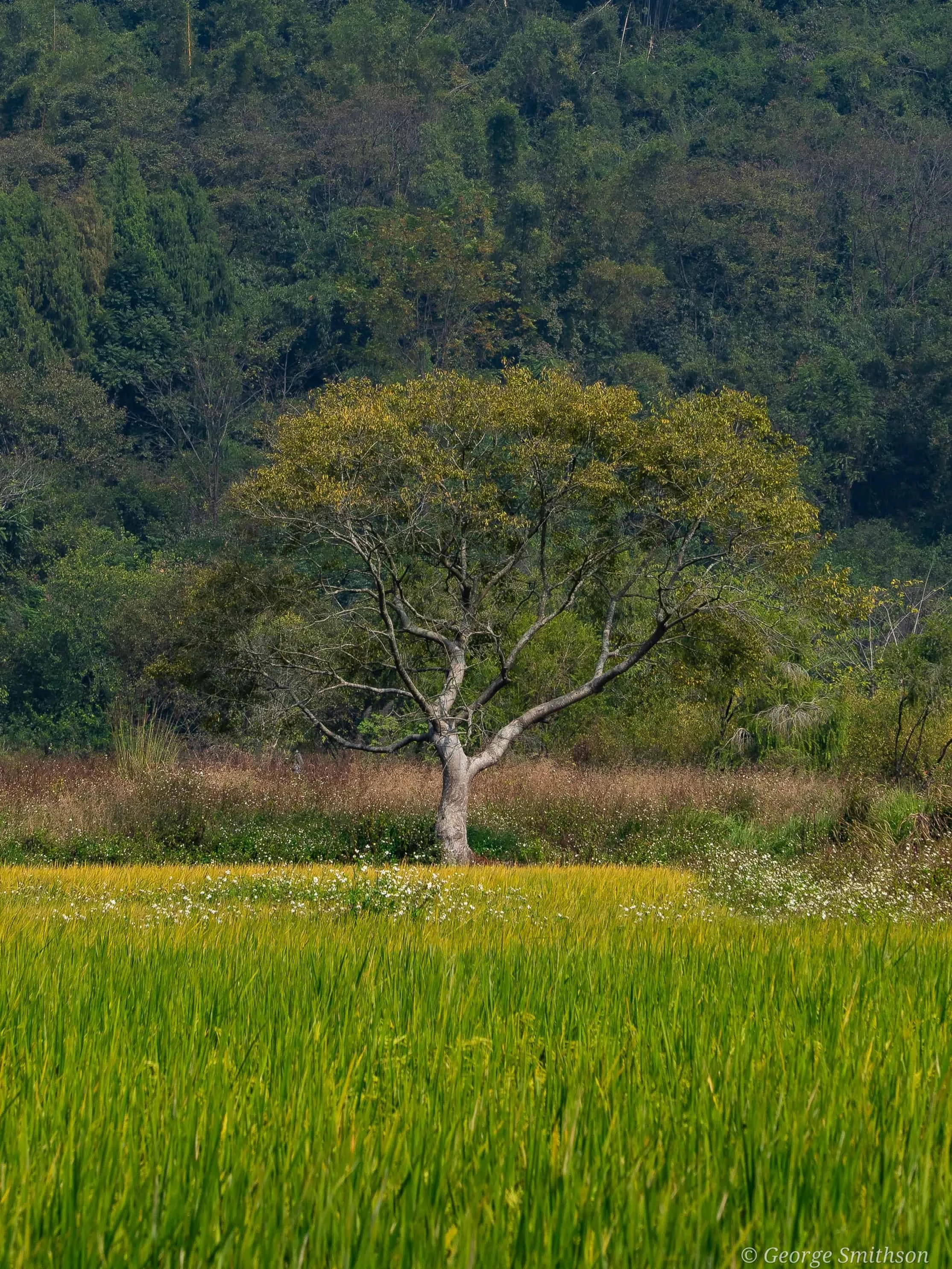 Standing alone amongst the karst mountains, Guangxi province, China, 2024.