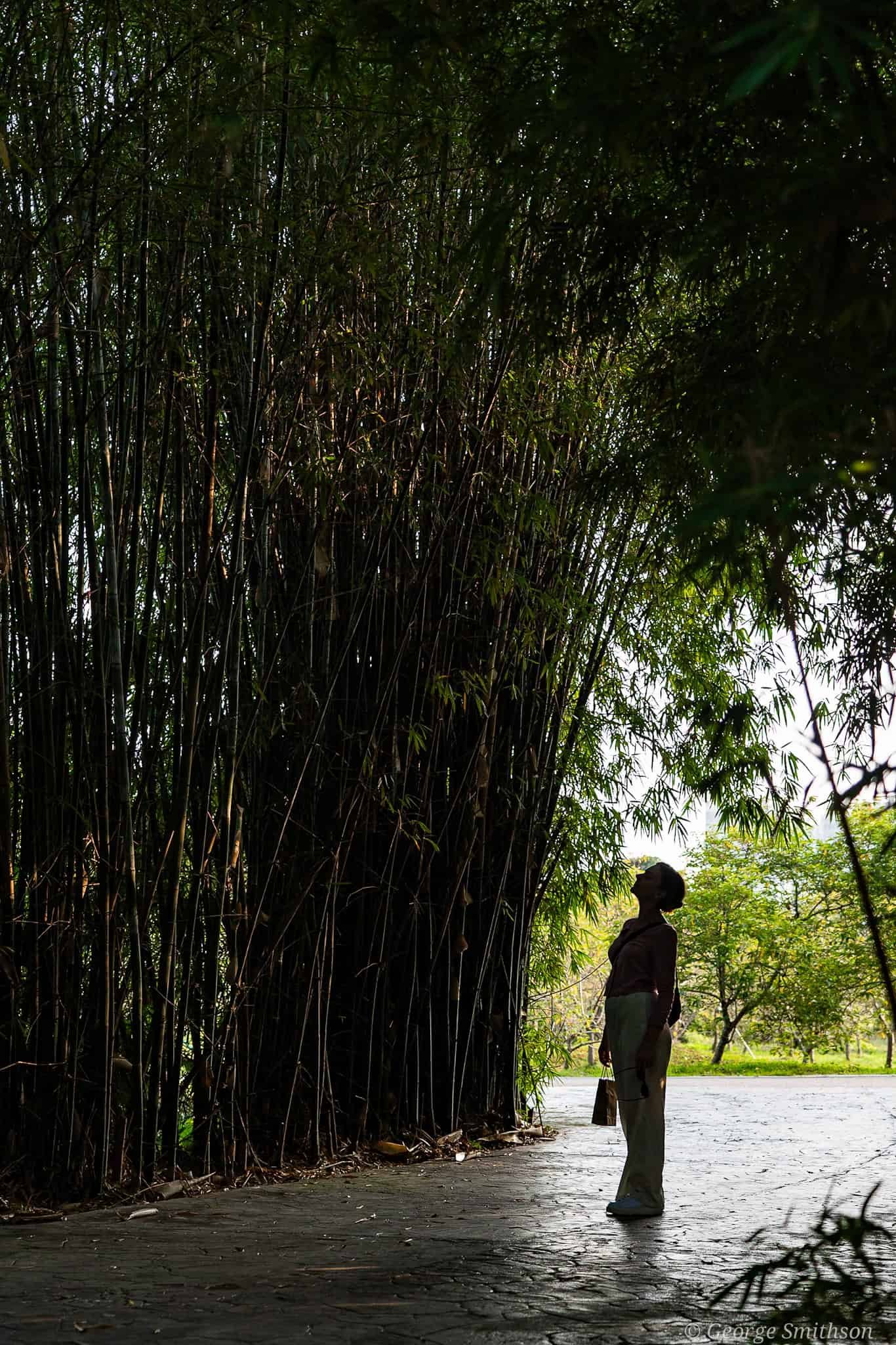 Life should be simple. Guangzhou, China.