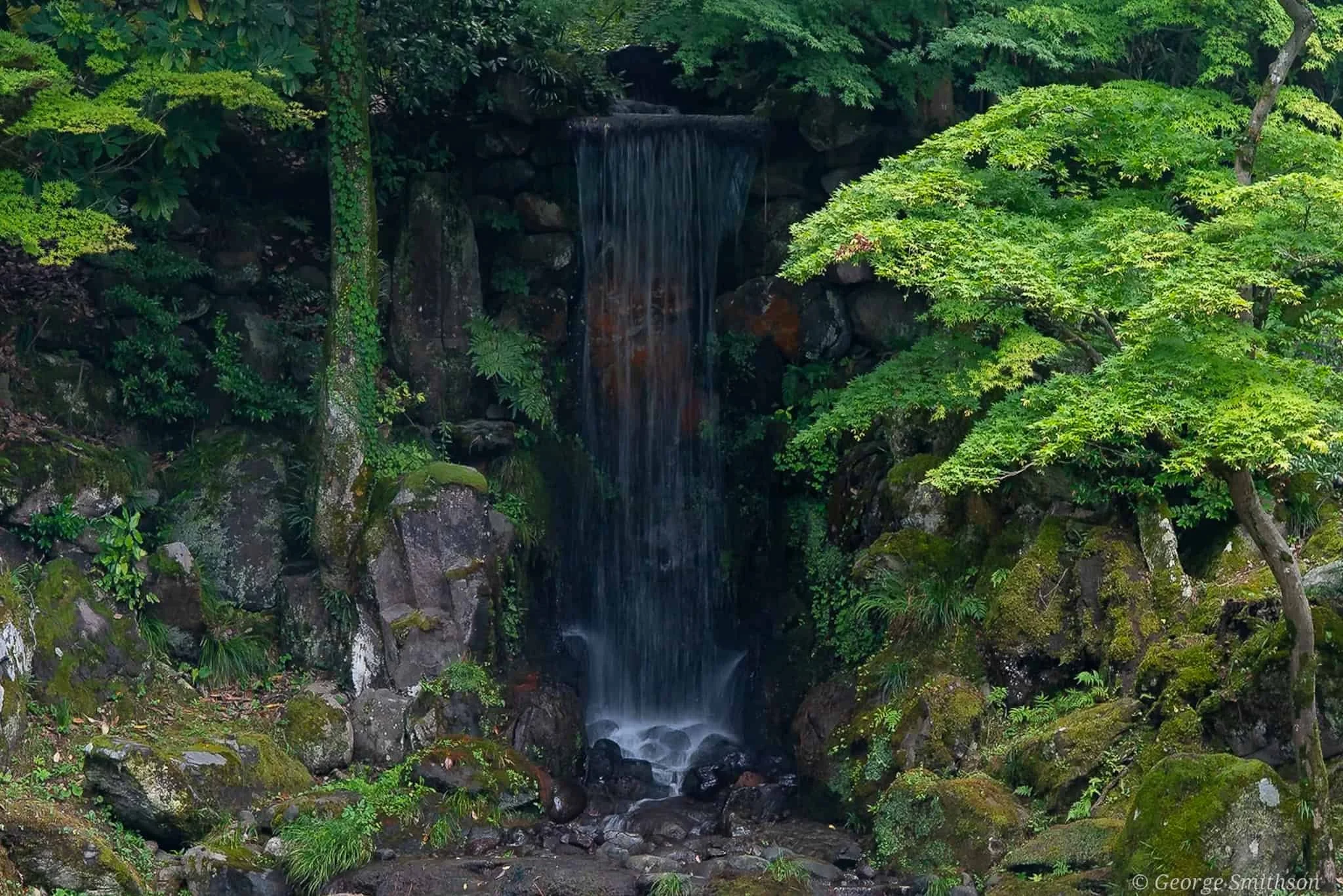 Soaking in the simple beauty of nature. Japan, 2025